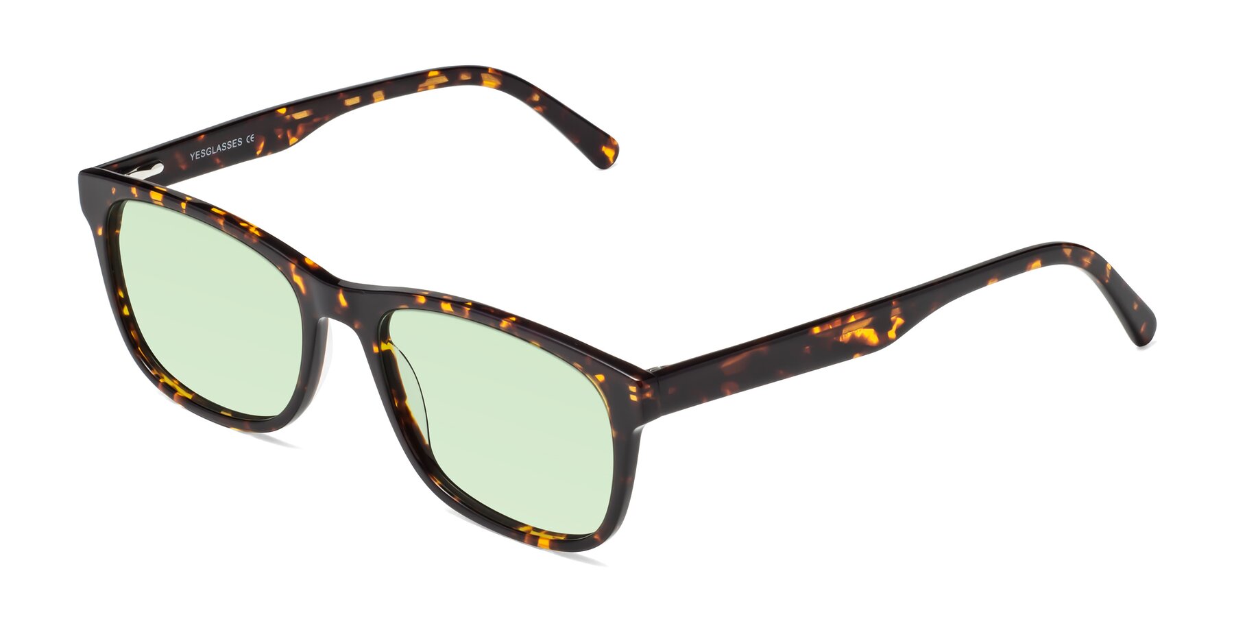Angle of Navarro in Chocolate-Tortoise with Light Green Tinted Lenses