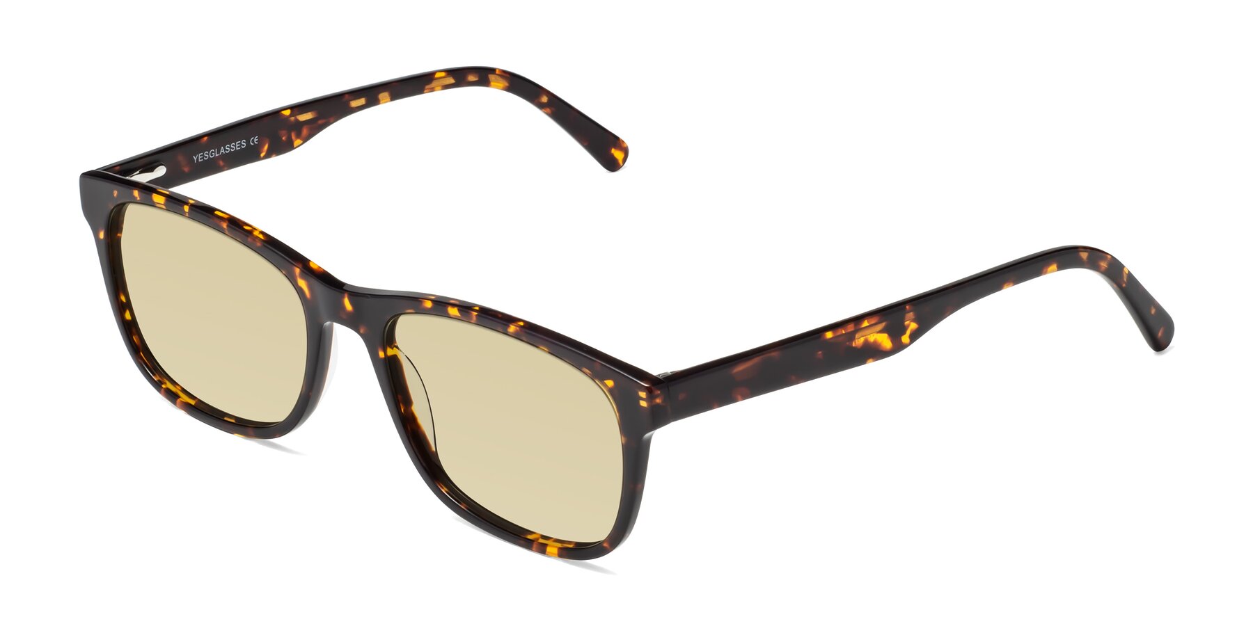 Angle of Navarro in Chocolate-Tortoise with Light Champagne Tinted Lenses