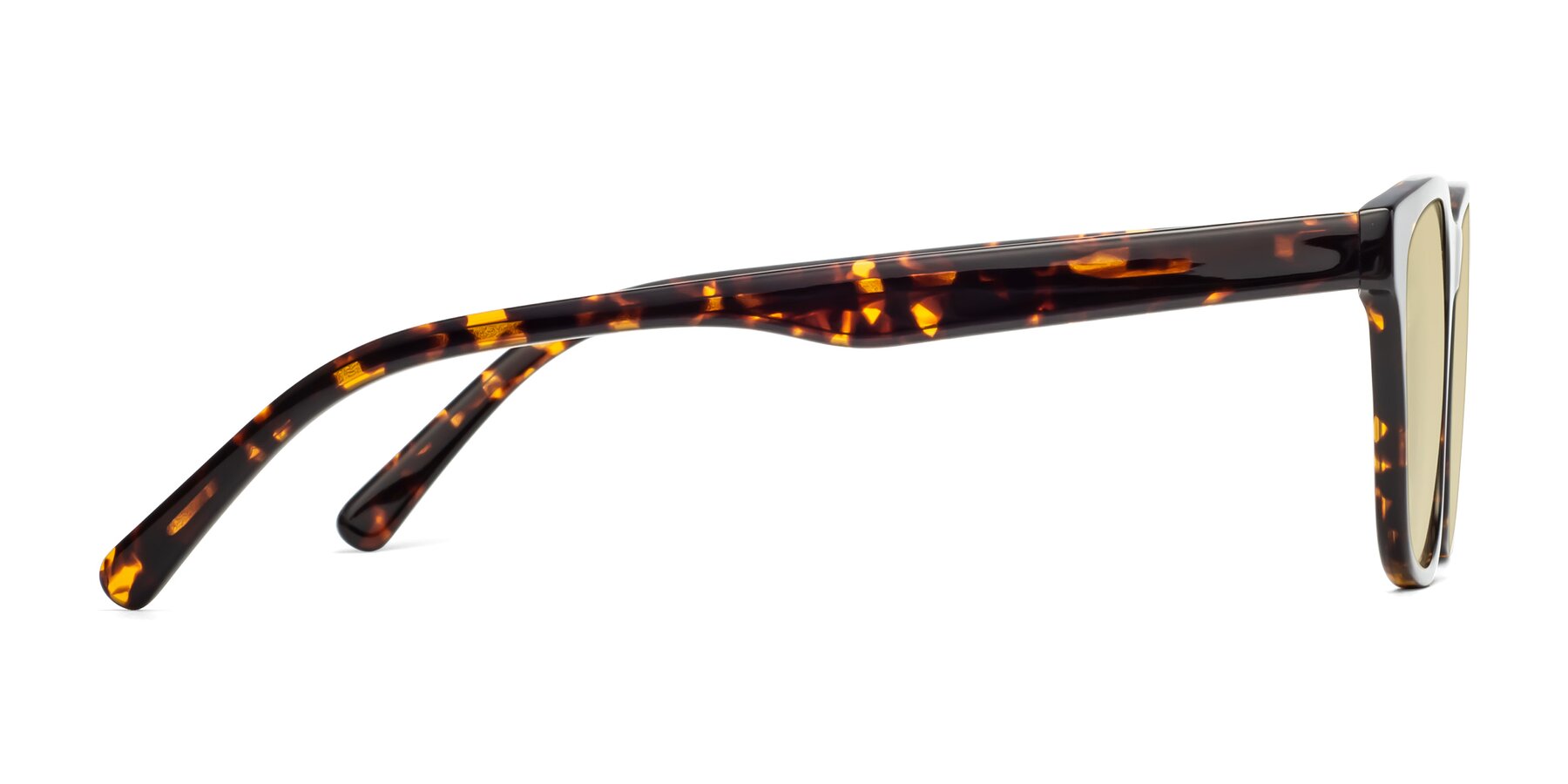 Side of Navarro in Chocolate-Tortoise with Light Champagne Tinted Lenses