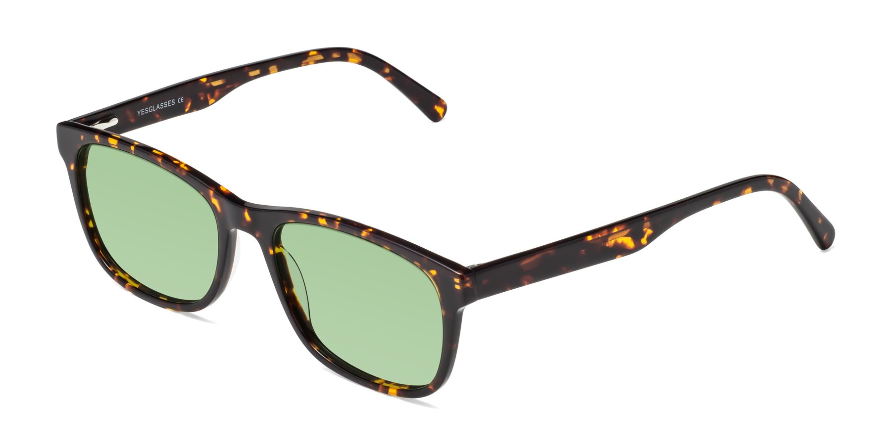 Angle of Navarro in Chocolate-Tortoise with Medium Green Tinted Lenses