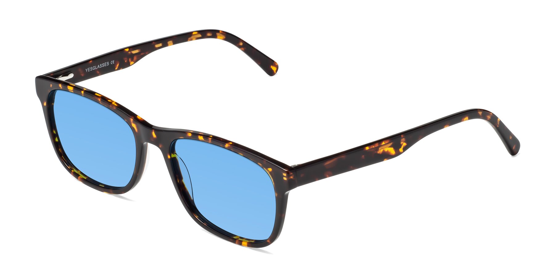 Angle of Navarro in Chocolate-Tortoise with Medium Blue Tinted Lenses