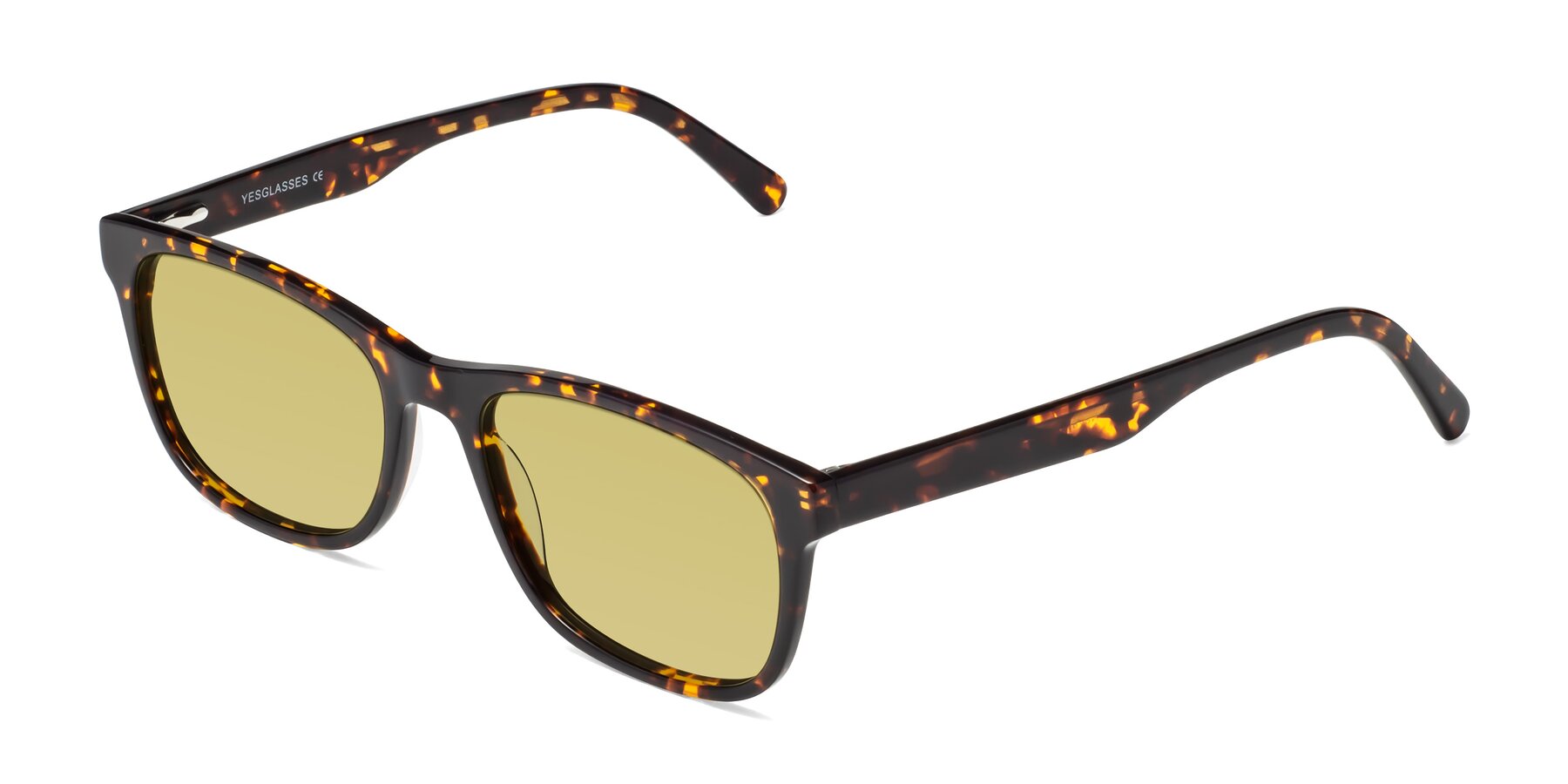 Angle of Navarro in Chocolate-Tortoise with Medium Champagne Tinted Lenses