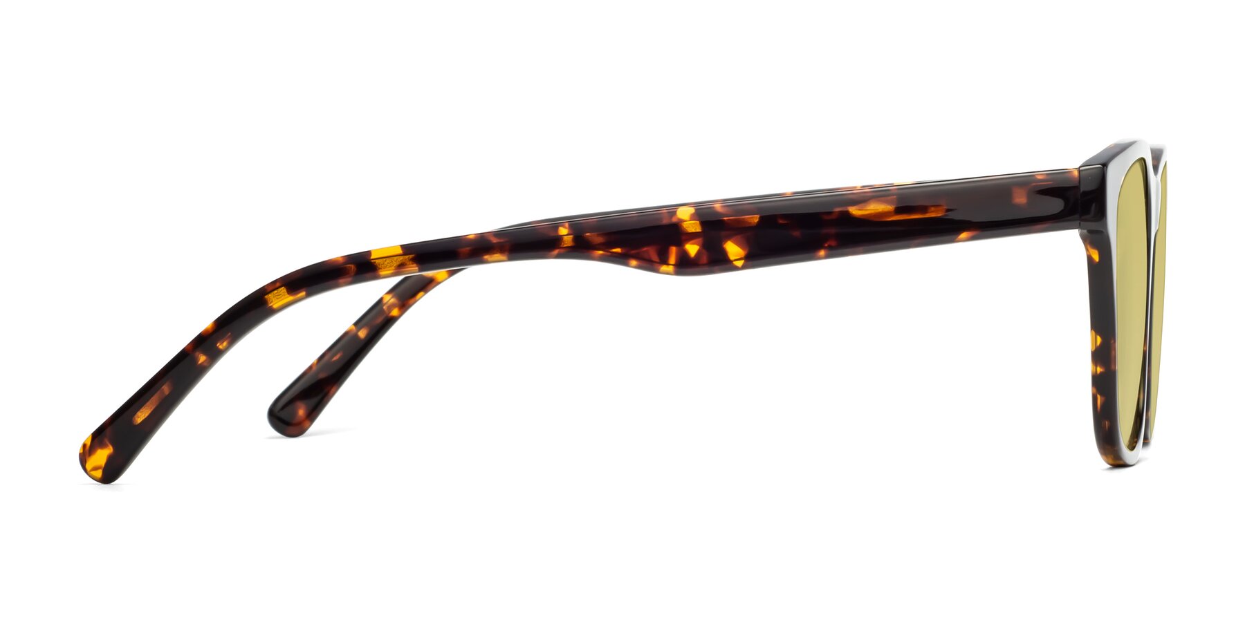 Side of Navarro in Chocolate-Tortoise with Medium Champagne Tinted Lenses