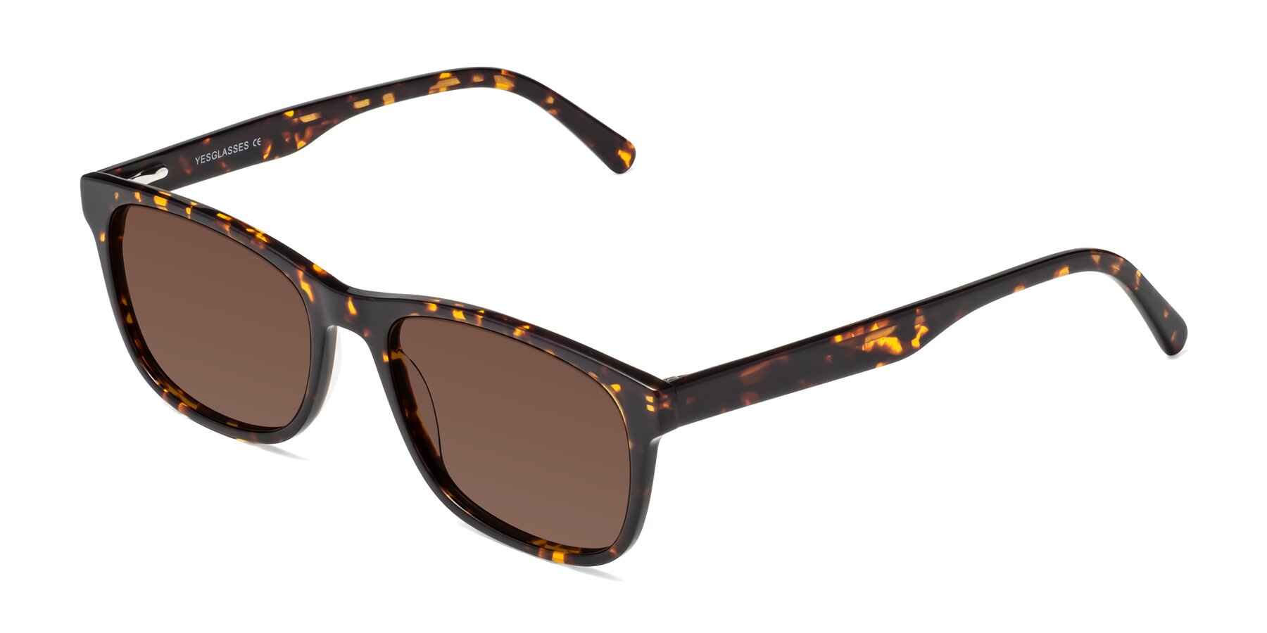 Angle of Navarro in Chocolate-Tortoise with Brown Tinted Lenses