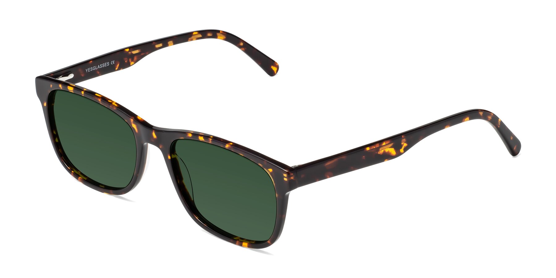 Angle of Navarro in Chocolate-Tortoise with Green Tinted Lenses