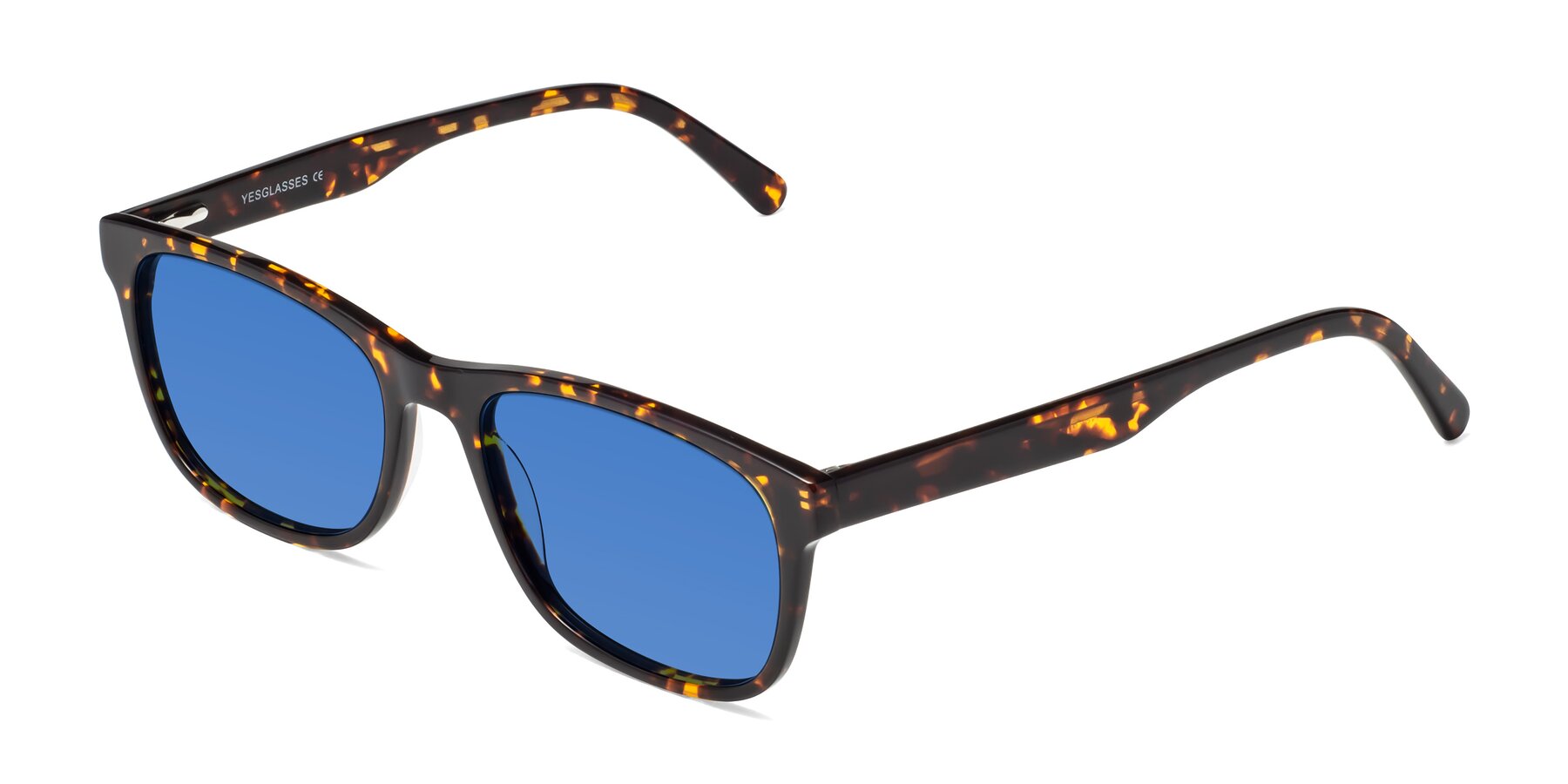 Angle of Navarro in Chocolate-Tortoise with Blue Tinted Lenses