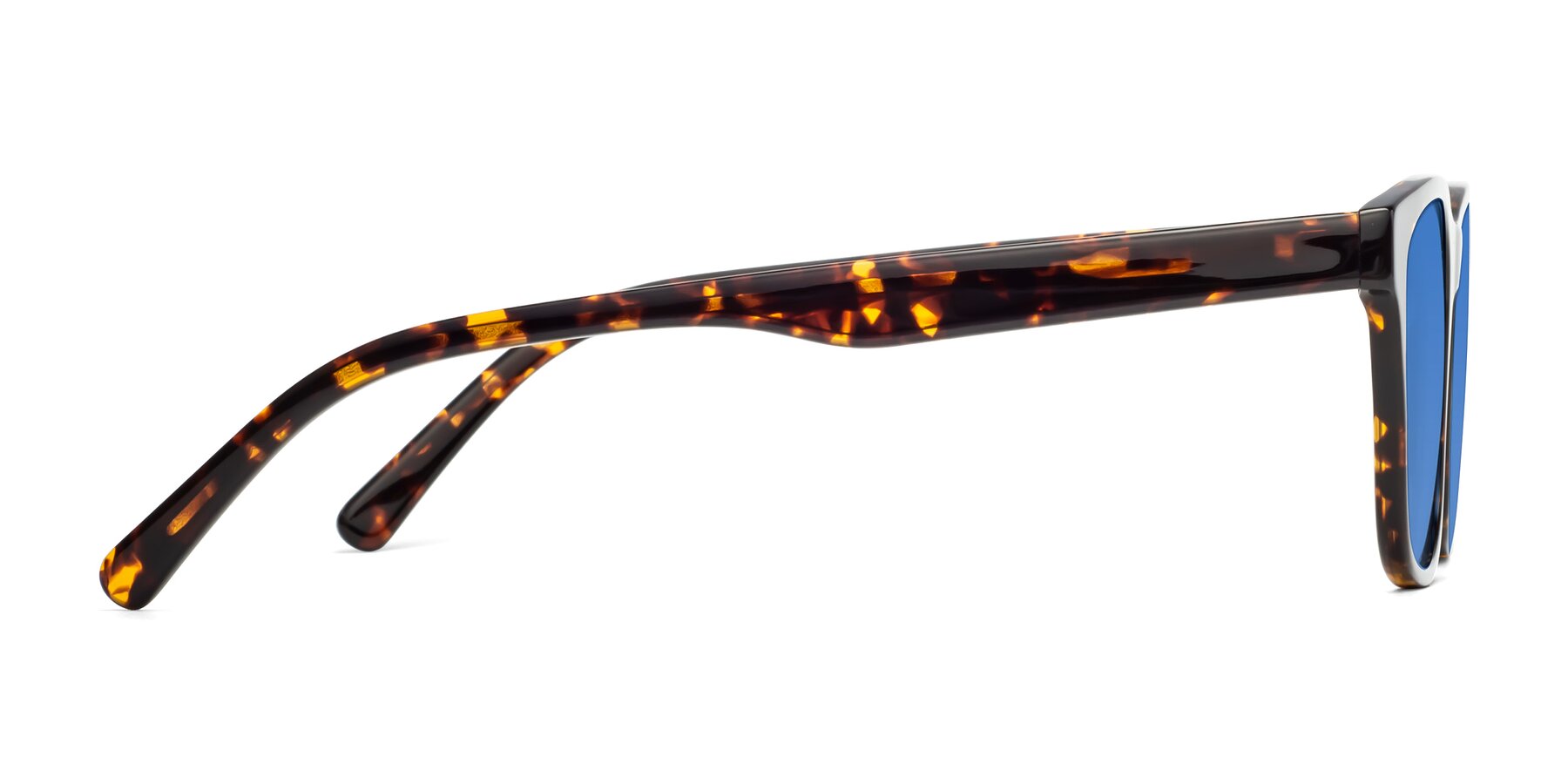 Side of Navarro in Chocolate-Tortoise with Blue Tinted Lenses