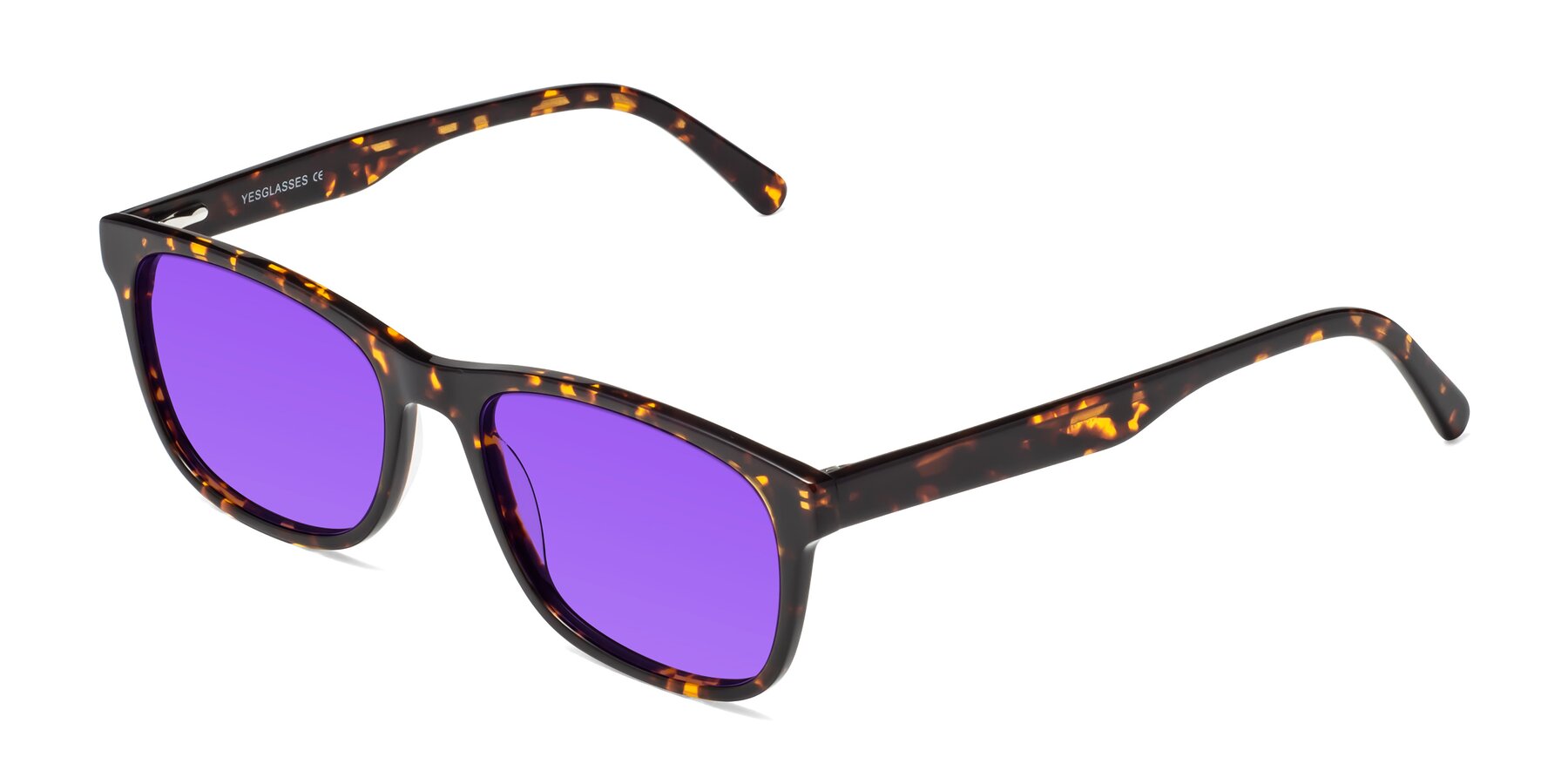 Angle of Navarro in Chocolate-Tortoise with Purple Tinted Lenses