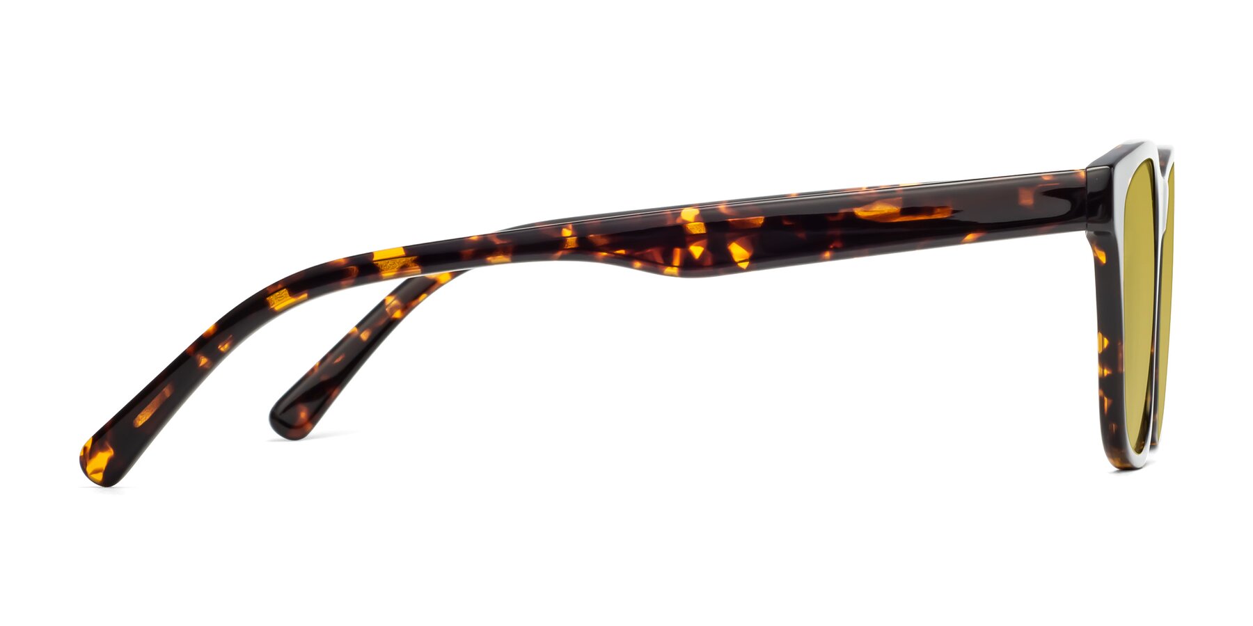 Side of Navarro in Chocolate-Tortoise with Champagne Tinted Lenses