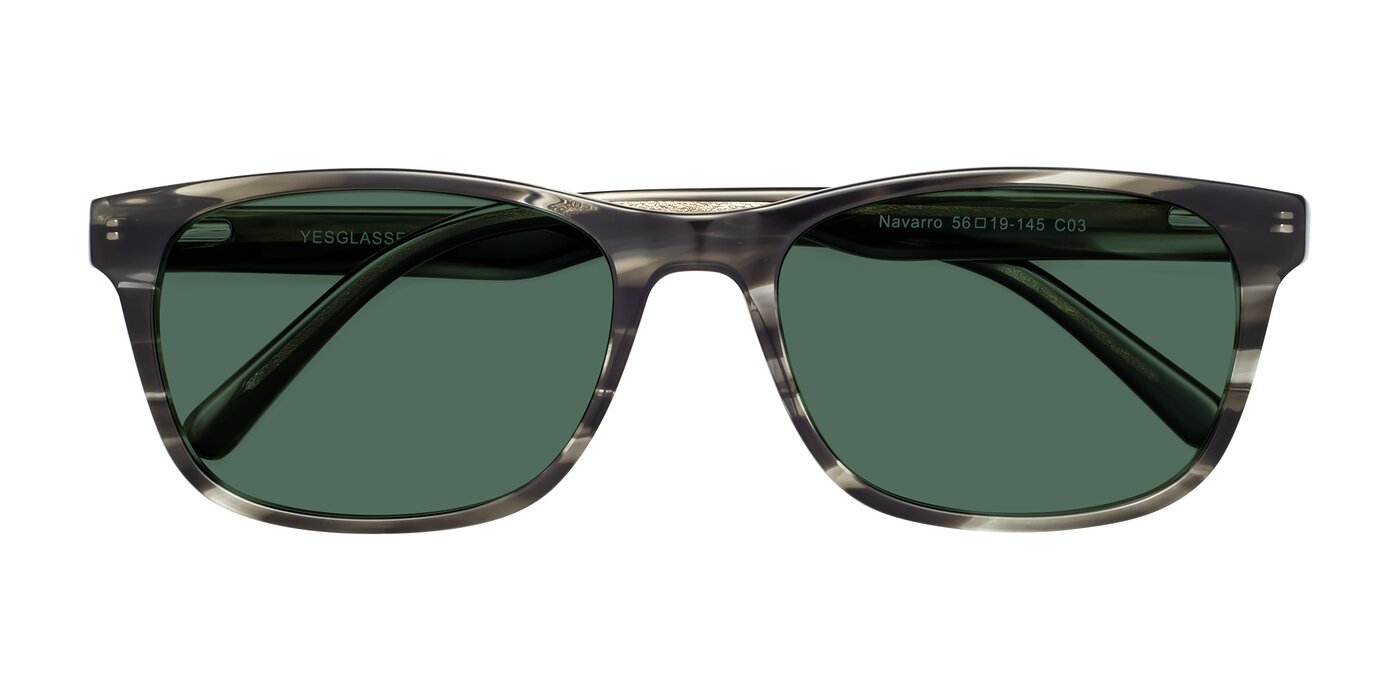 Navarro - Gray / Tortoise Polarized Sunglasses