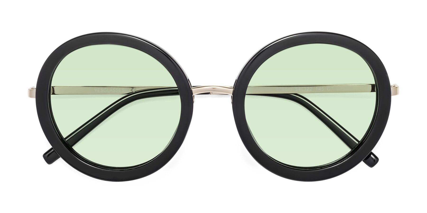 Folded Front of Bloom in Black with Light Green Tinted Lenses