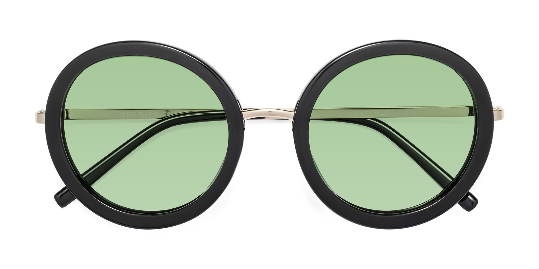 Folded Front of Bloom in Black with Medium Green Tinted Lenses