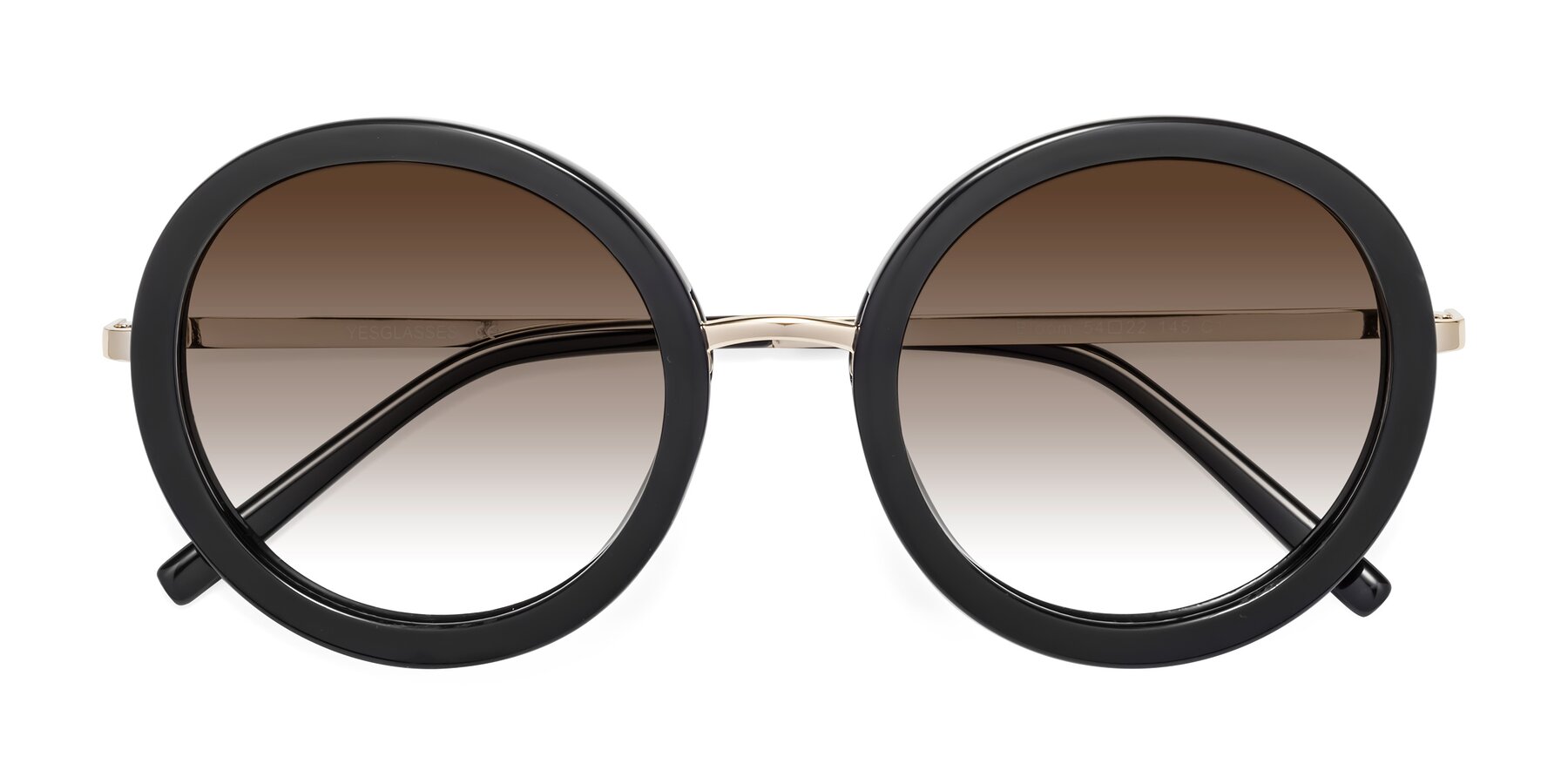 Folded Front of Bloom in Black with Brown Gradient Lenses