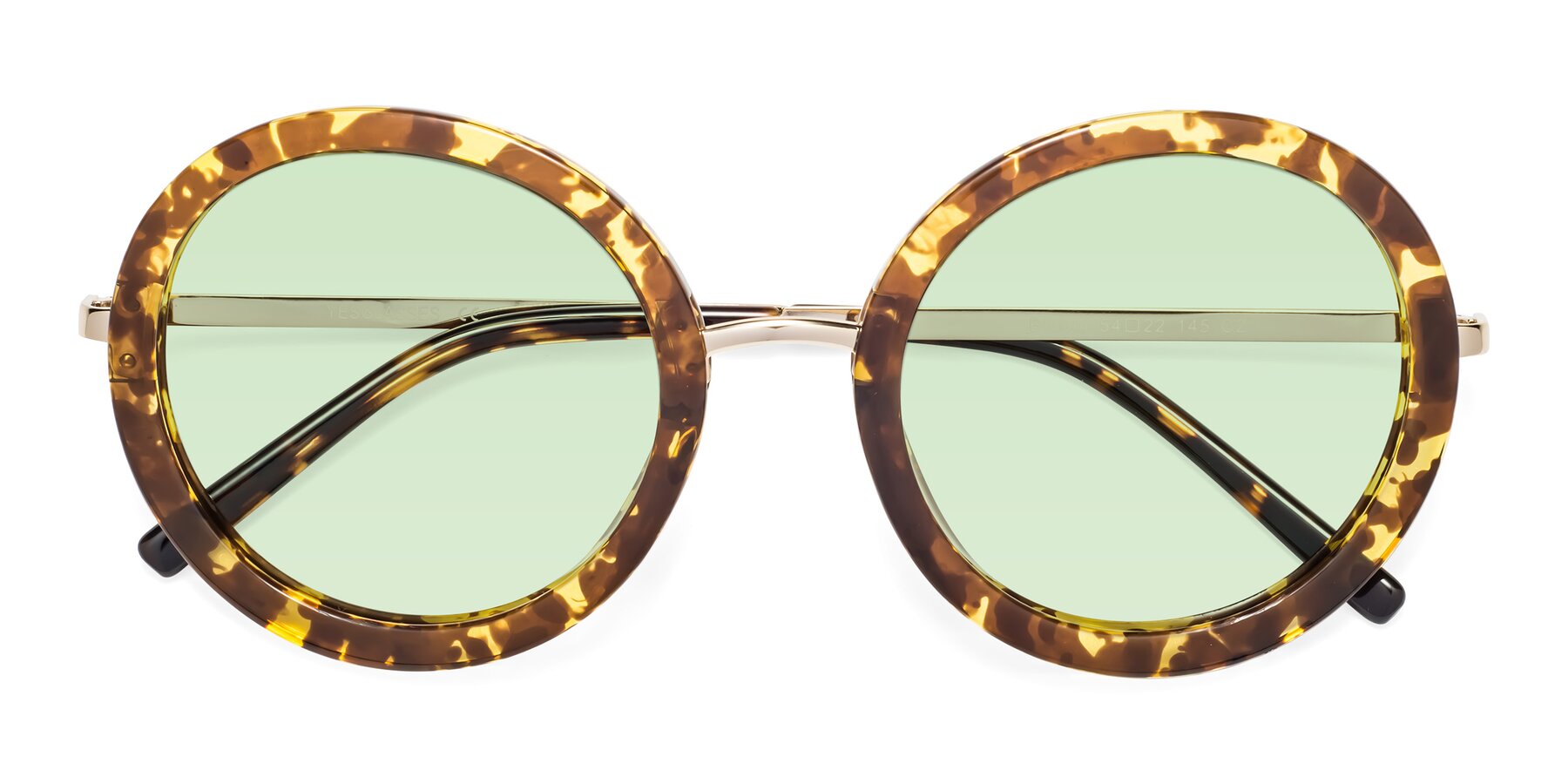 Folded Front of Bloom in Transparent Tortoise with Light Green Tinted Lenses