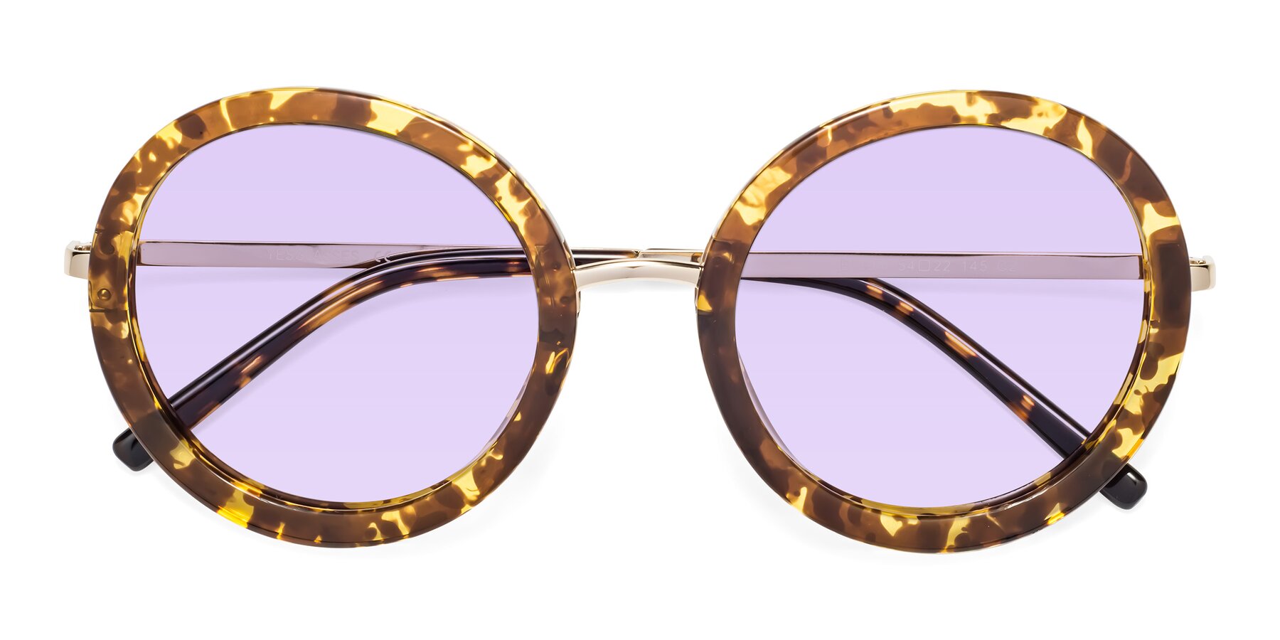 Folded Front of Bloom in Transparent Tortoise with Light Purple Tinted Lenses