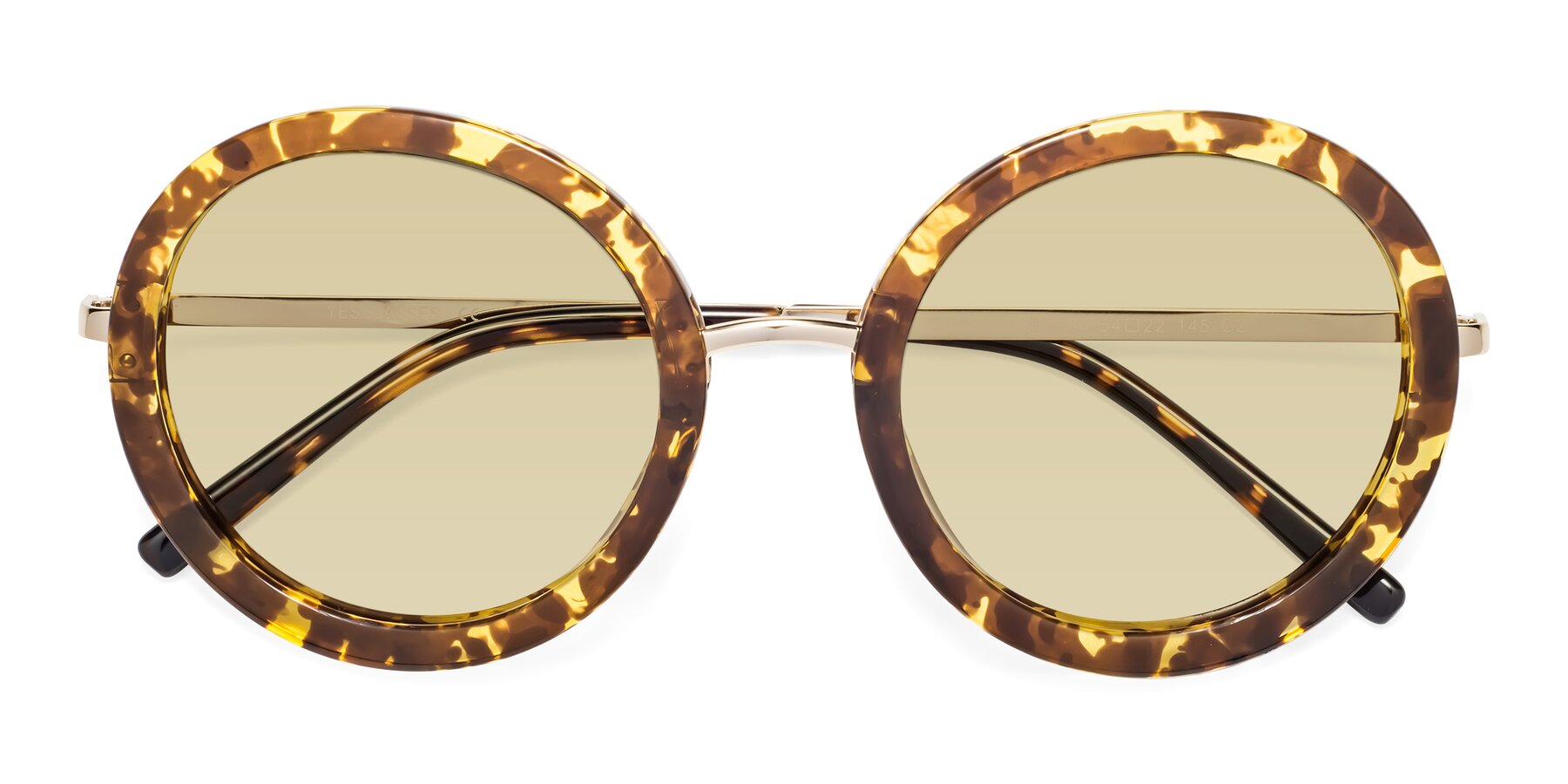 Folded Front of Bloom in Transparent Tortoise with Light Champagne Tinted Lenses