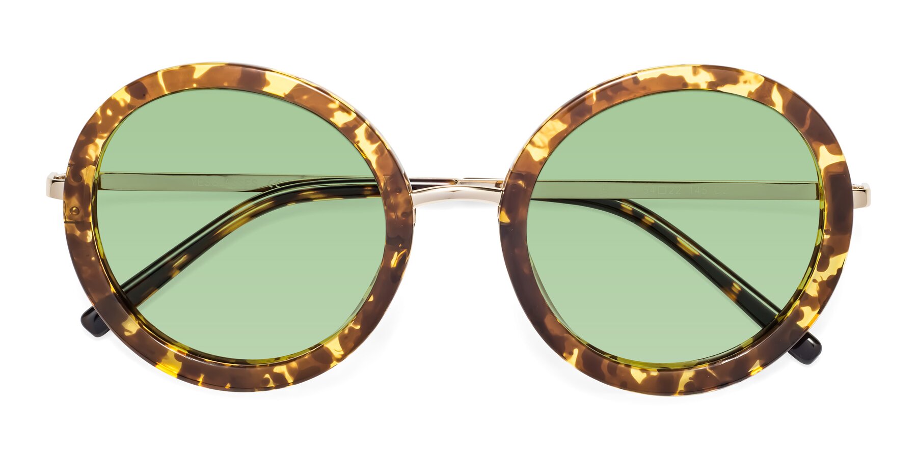 Folded Front of Bloom in Transparent Tortoise with Medium Green Tinted Lenses