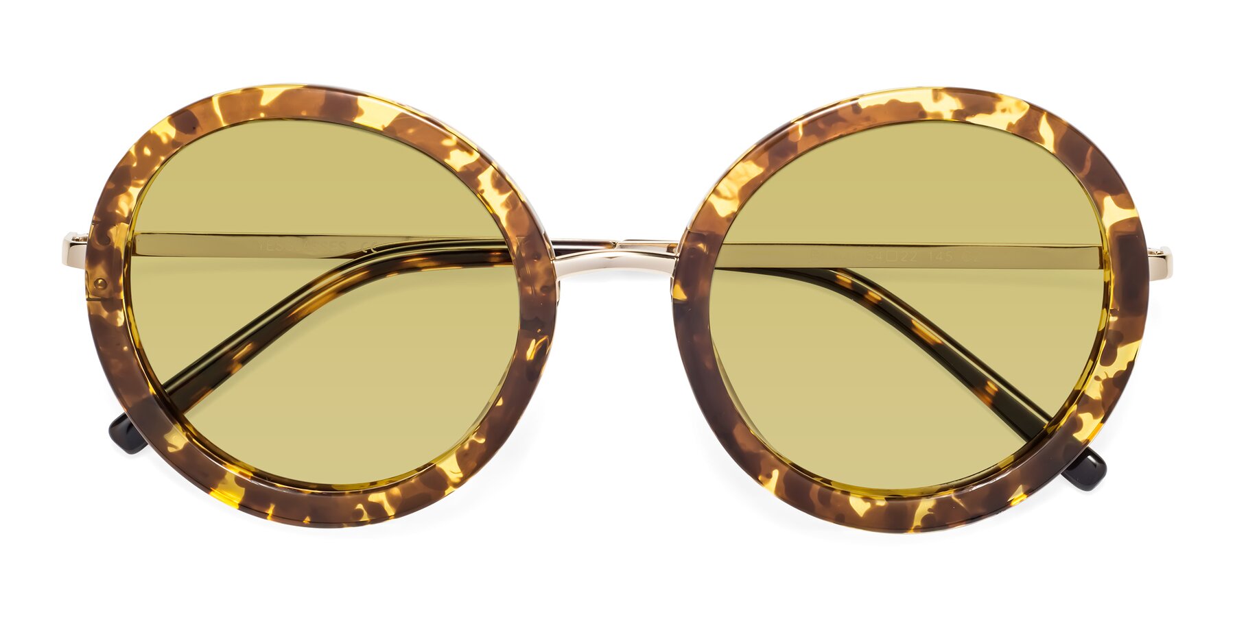 Folded Front of Bloom in Transparent Tortoise with Medium Champagne Tinted Lenses