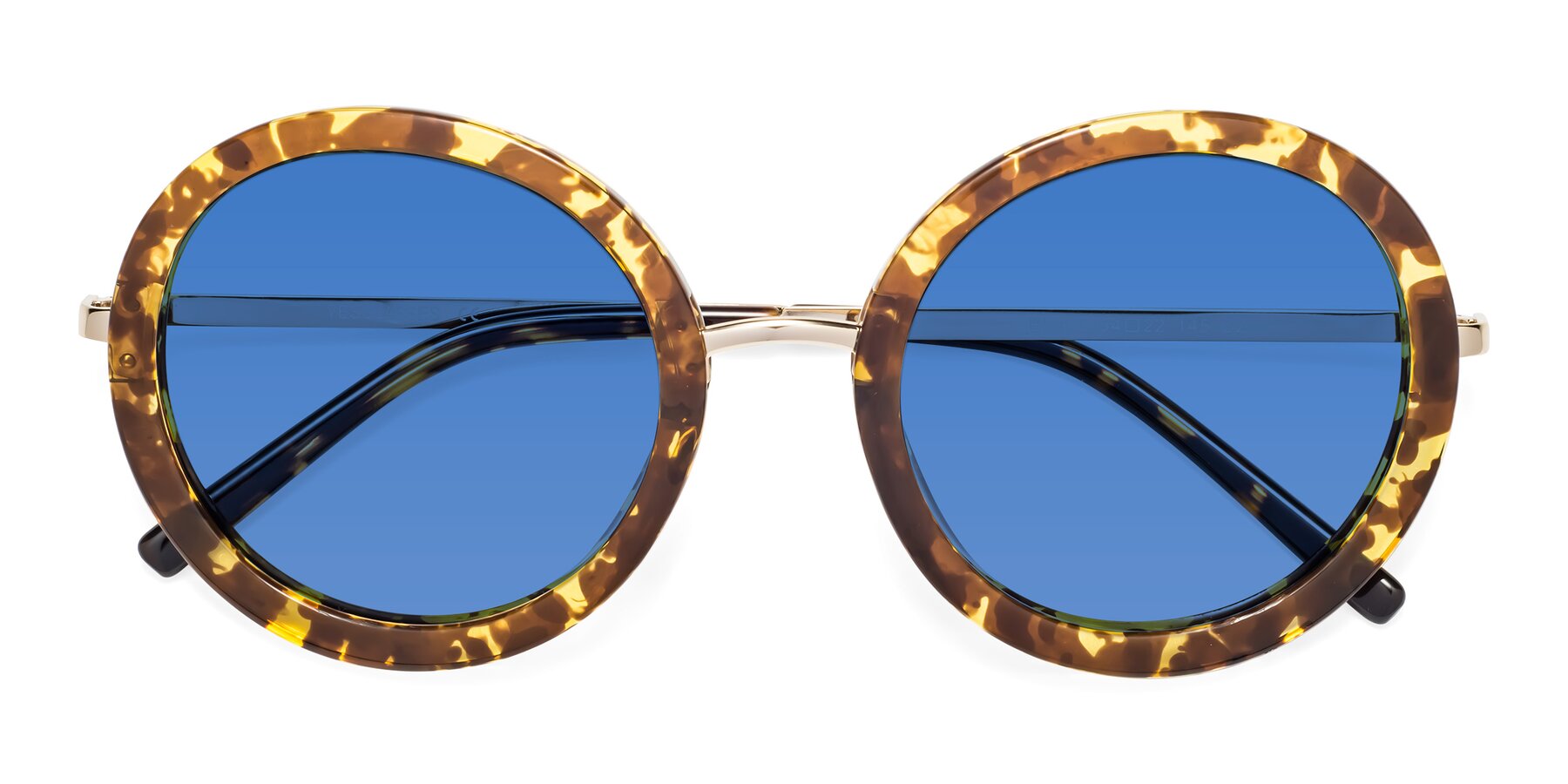 Folded Front of Bloom in Transparent Tortoise with Blue Tinted Lenses