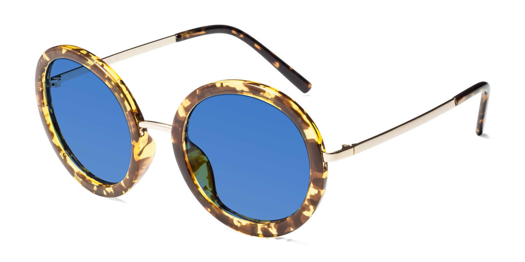 Angle of Bloom in Transparent Tortoise with Blue Tinted Lenses