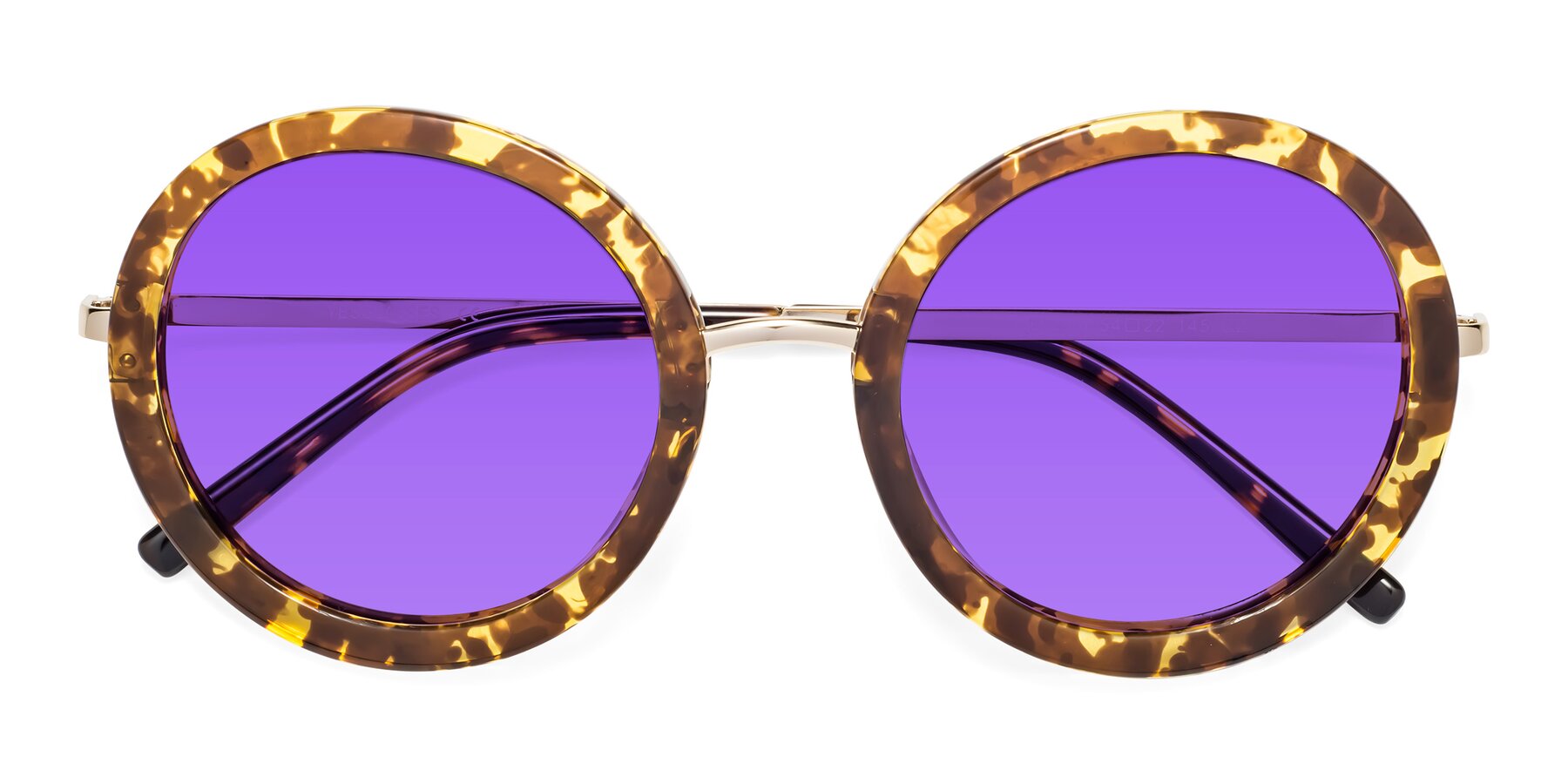 Folded Front of Bloom in Transparent Tortoise with Purple Tinted Lenses