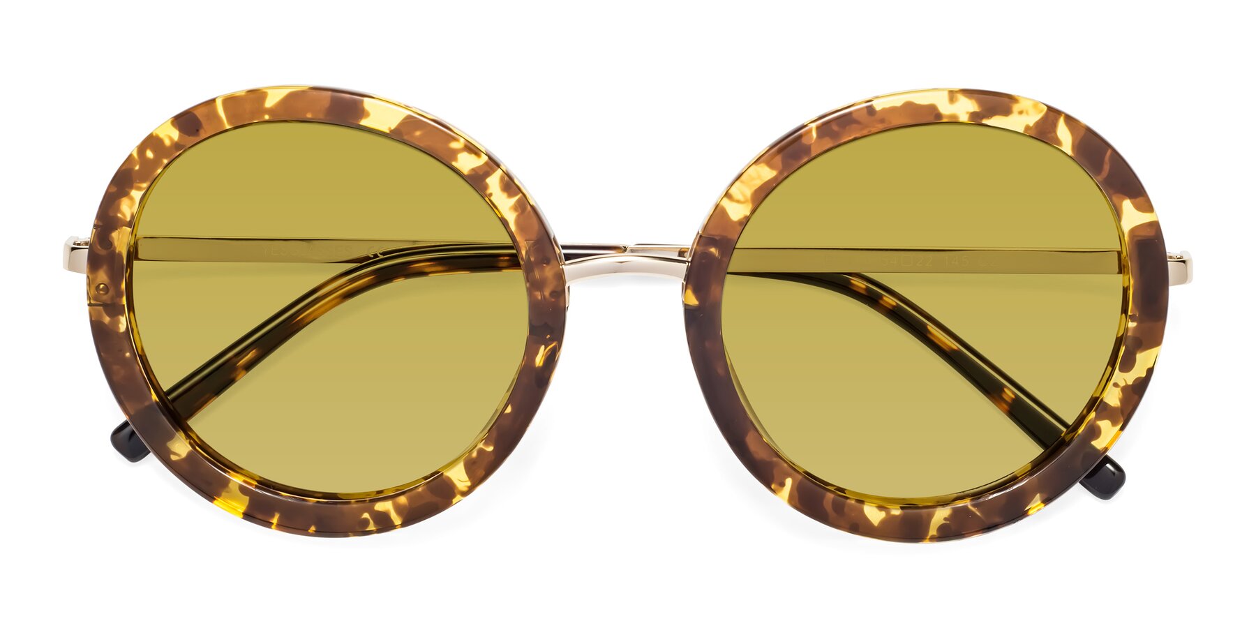 Folded Front of Bloom in Transparent Tortoise with Champagne Tinted Lenses