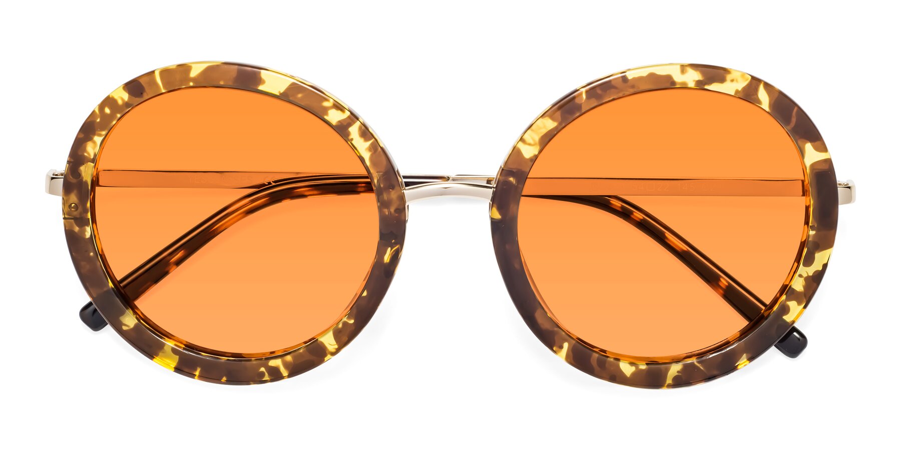Folded Front of Bloom in Transparent Tortoise with Orange Tinted Lenses