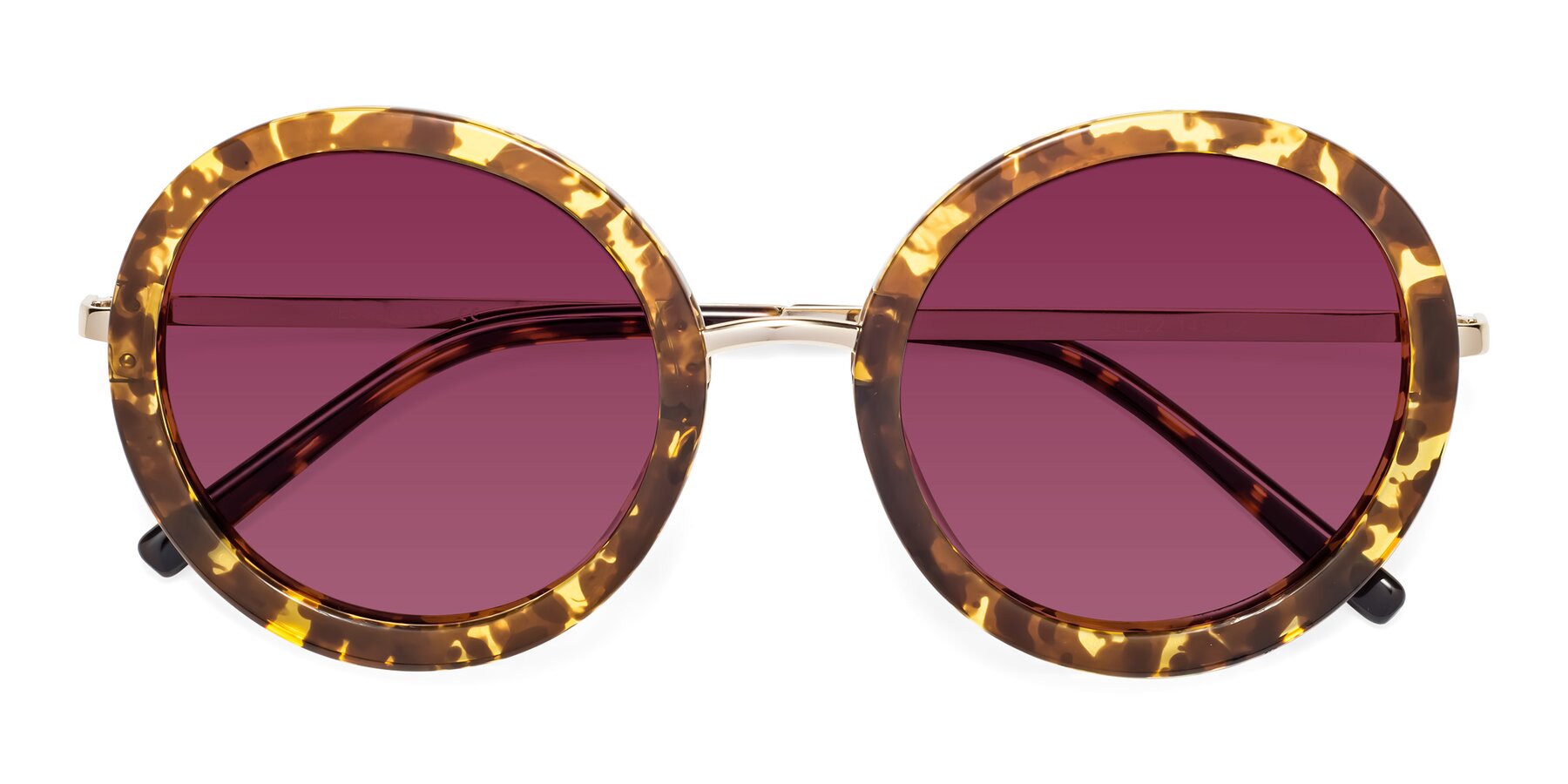 Folded Front of Bloom in Transparent Tortoise with Wine Tinted Lenses