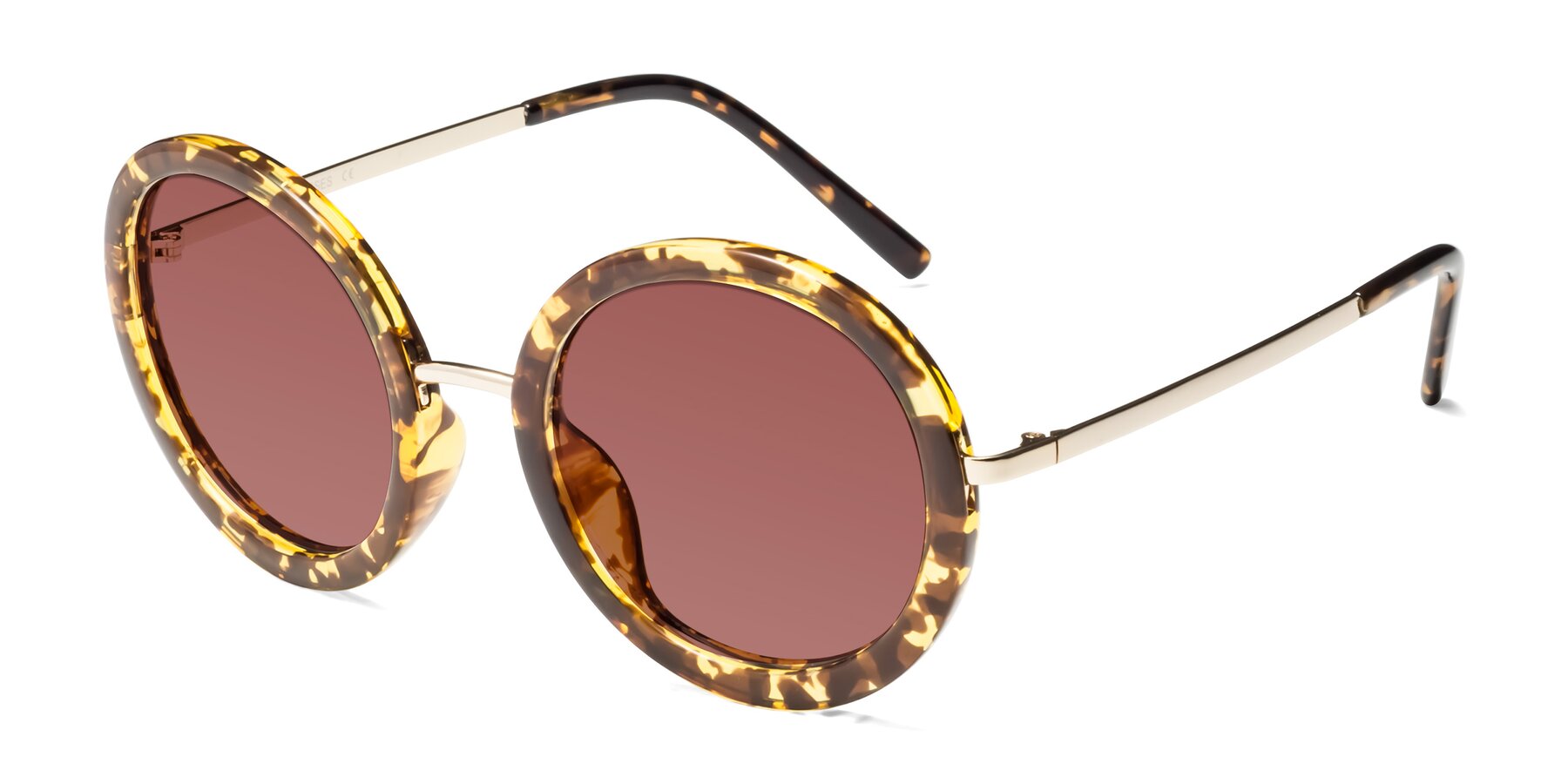 Angle of Bloom in Transparent Tortoise with Garnet Tinted Lenses