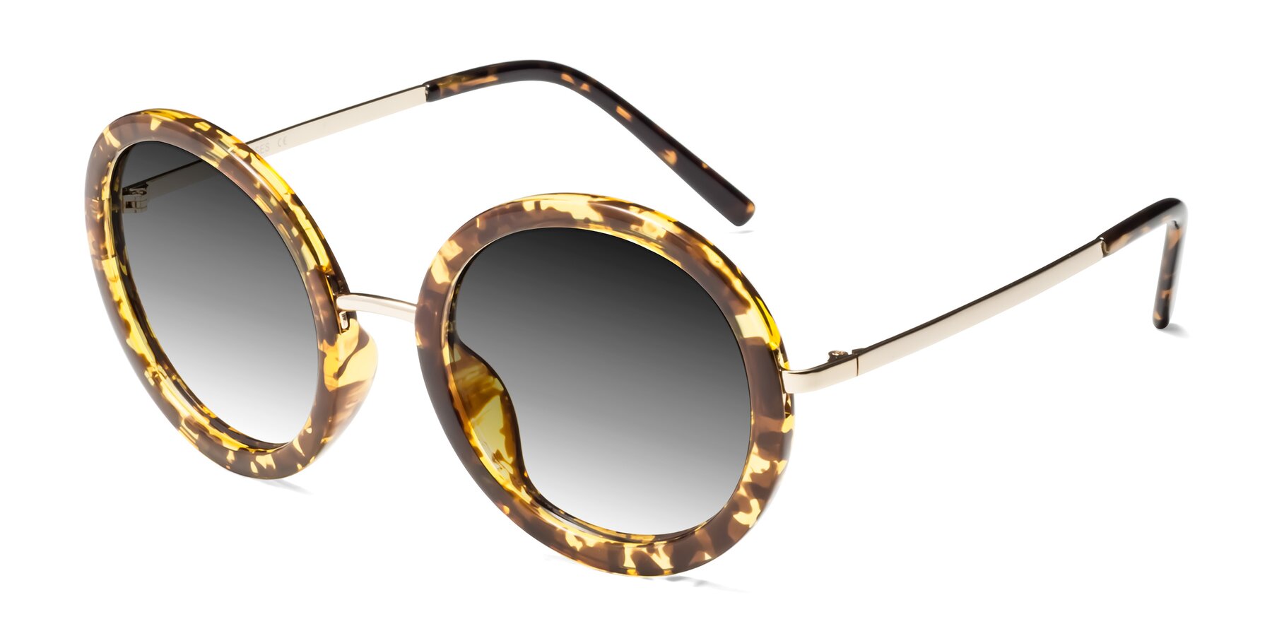 Angle of Bloom in Transparent Tortoise with Gray Gradient Lenses