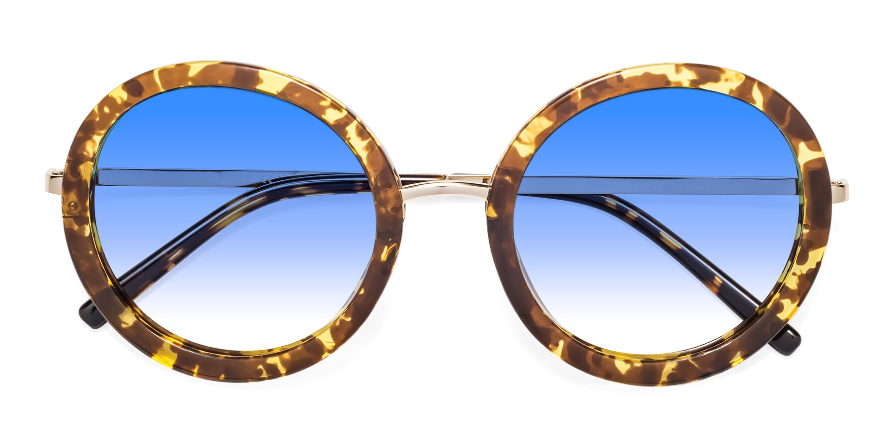 Folded Front of Bloom in Transparent Tortoise with Blue Gradient Lenses