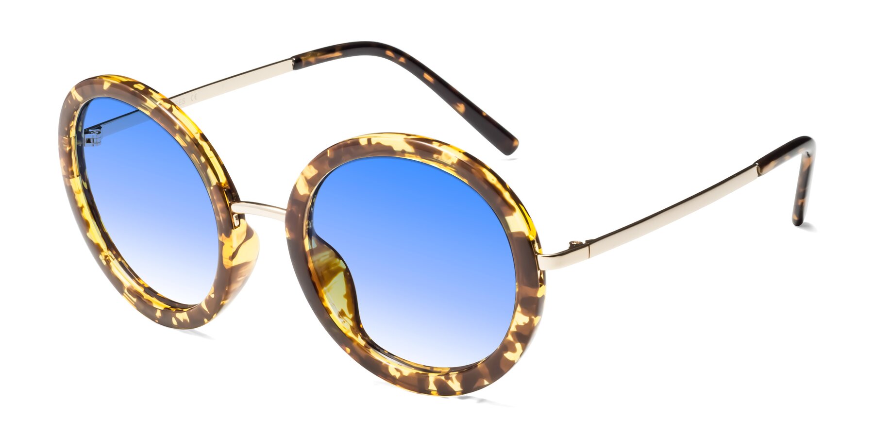 Angle of Bloom in Transparent Tortoise with Blue Gradient Lenses
