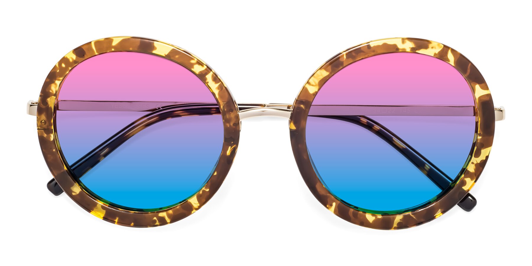 Folded Front of Bloom in Transparent Tortoise with Pink / Blue Gradient Lenses