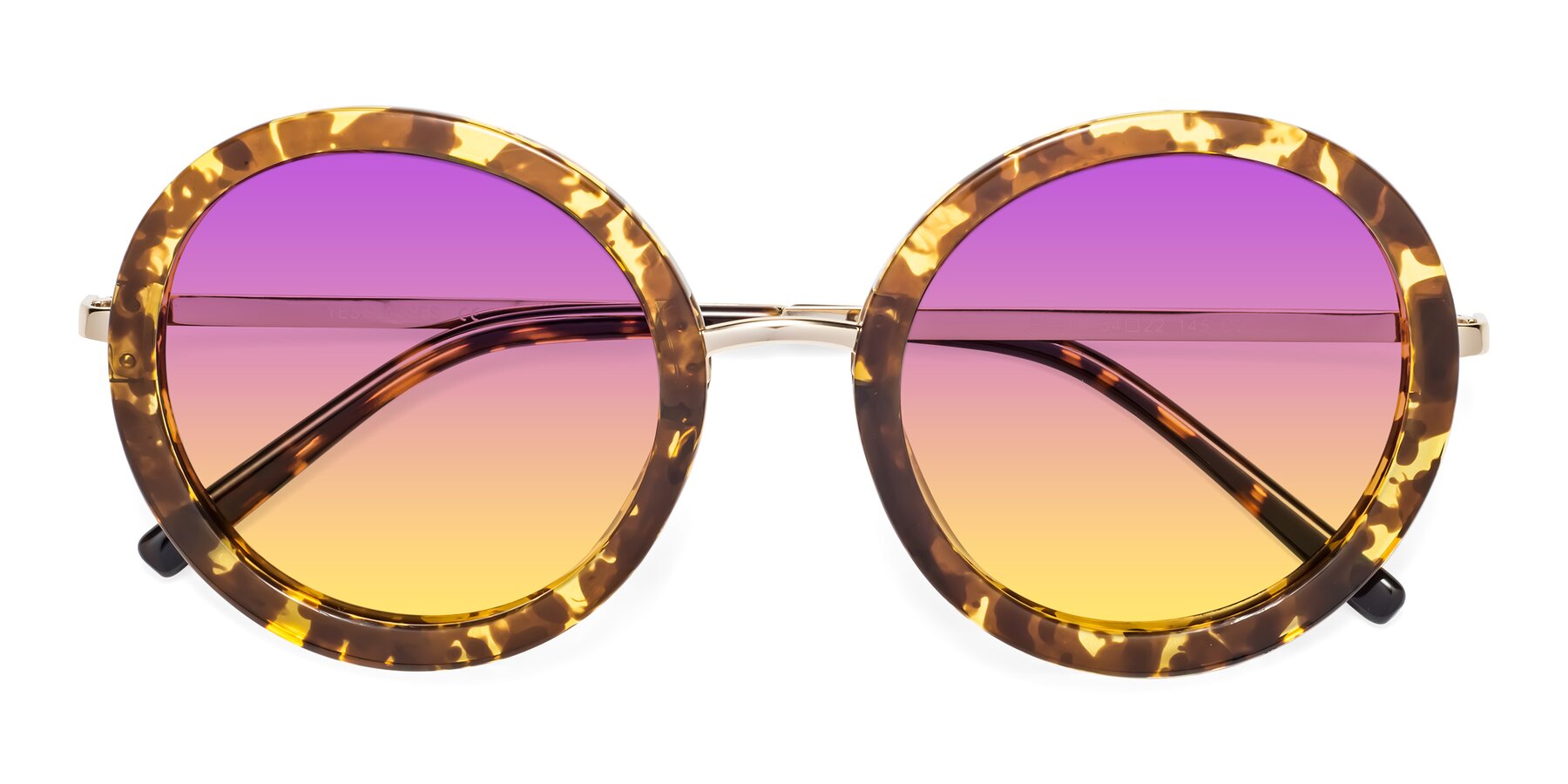 Folded Front of Bloom in Transparent Tortoise with Purple / Yellow Gradient Lenses