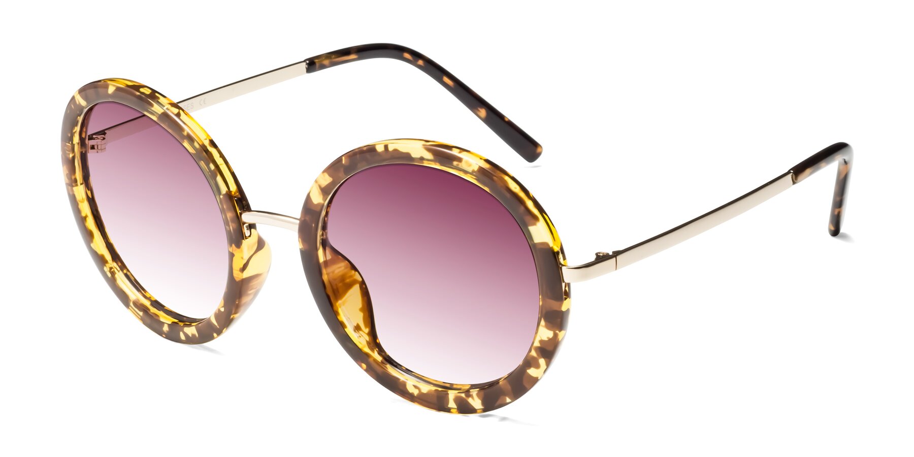 Angle of Bloom in Transparent Tortoise with Wine Gradient Lenses