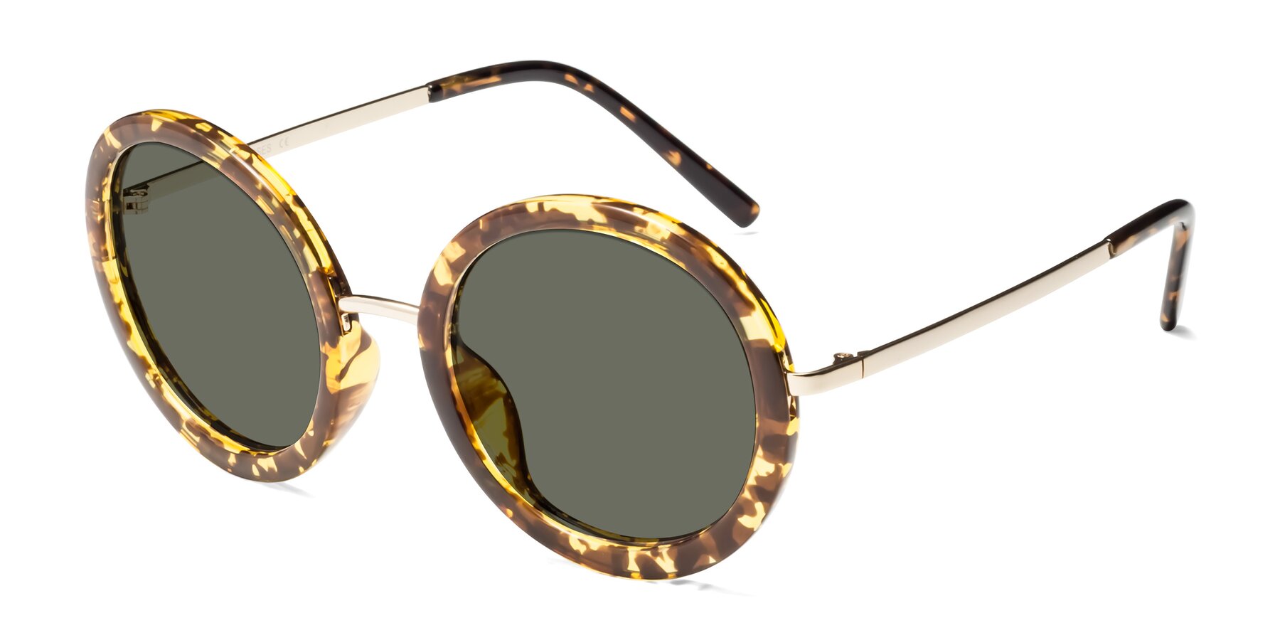 Angle of Bloom in Transparent Tortoise with Gray Polarized Lenses