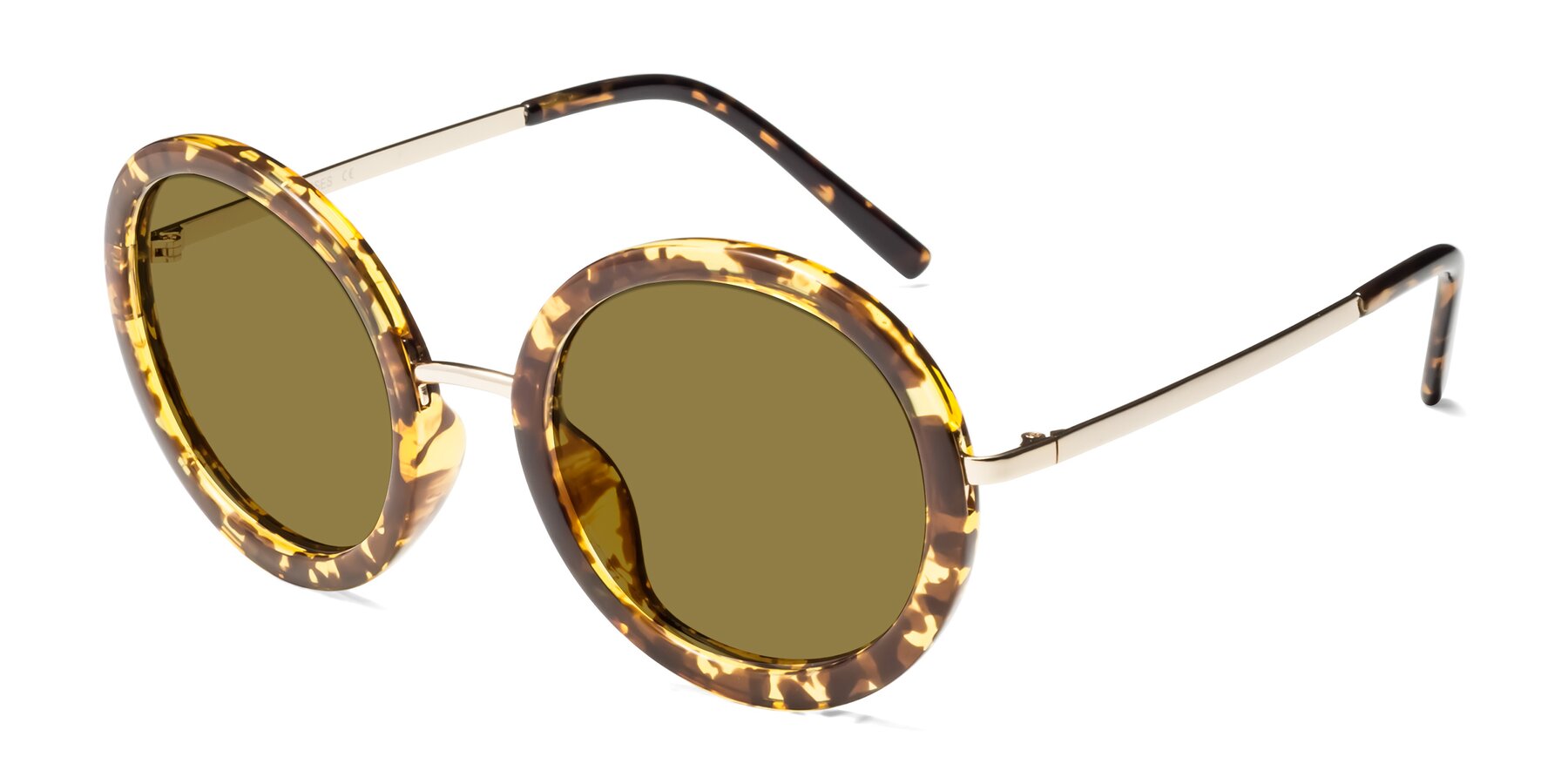 Angle of Bloom in Transparent Tortoise with Brown Polarized Lenses
