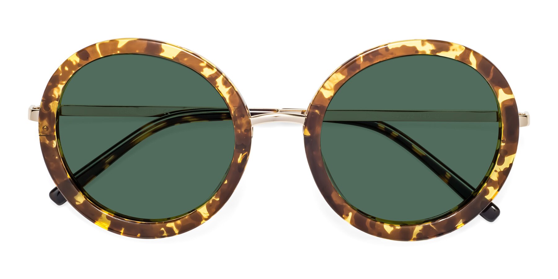 Folded Front of Bloom in Transparent Tortoise with Green Polarized Lenses