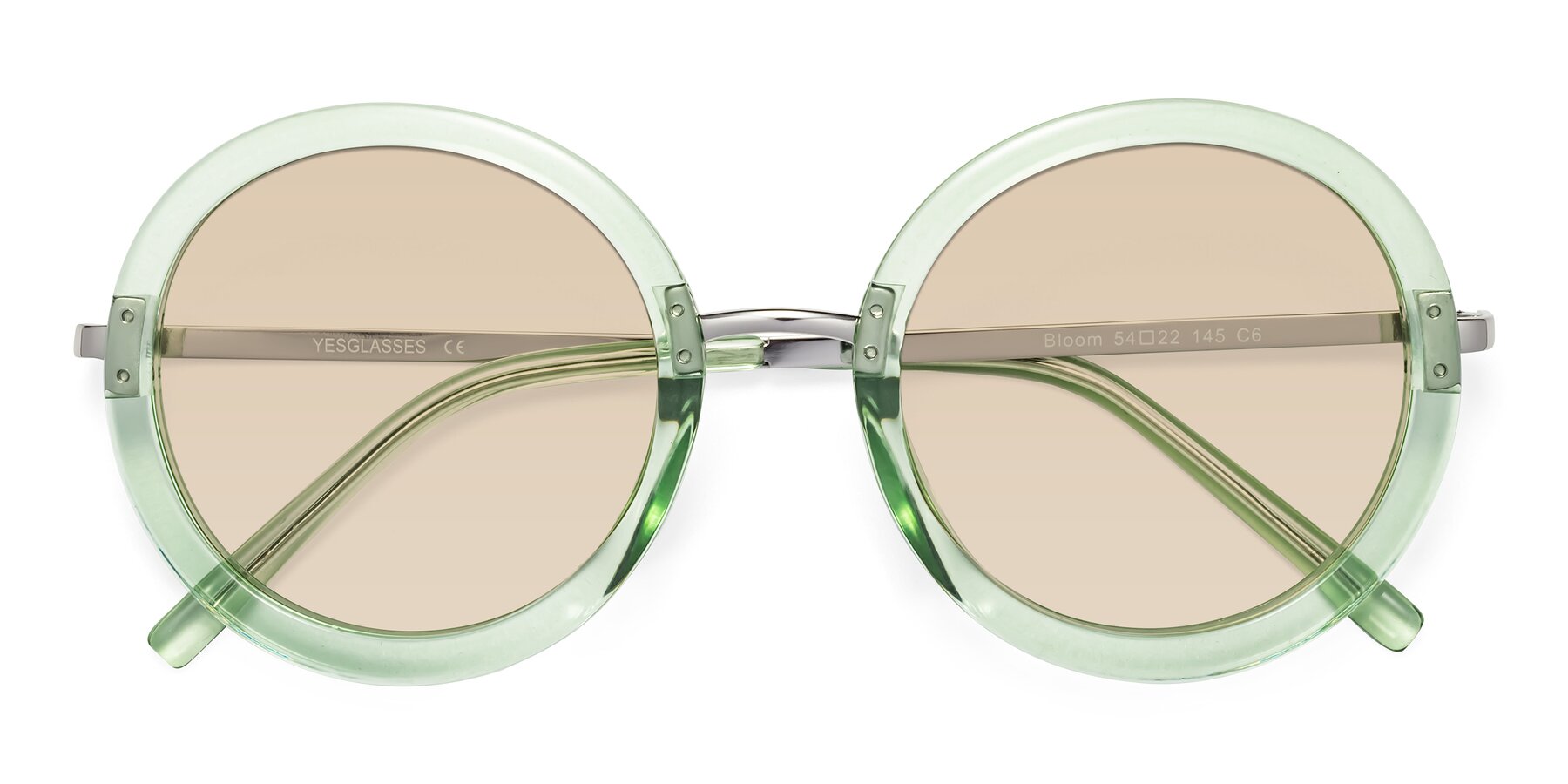 Folded Front of Bloom in Mint Green with Light Brown Tinted Lenses