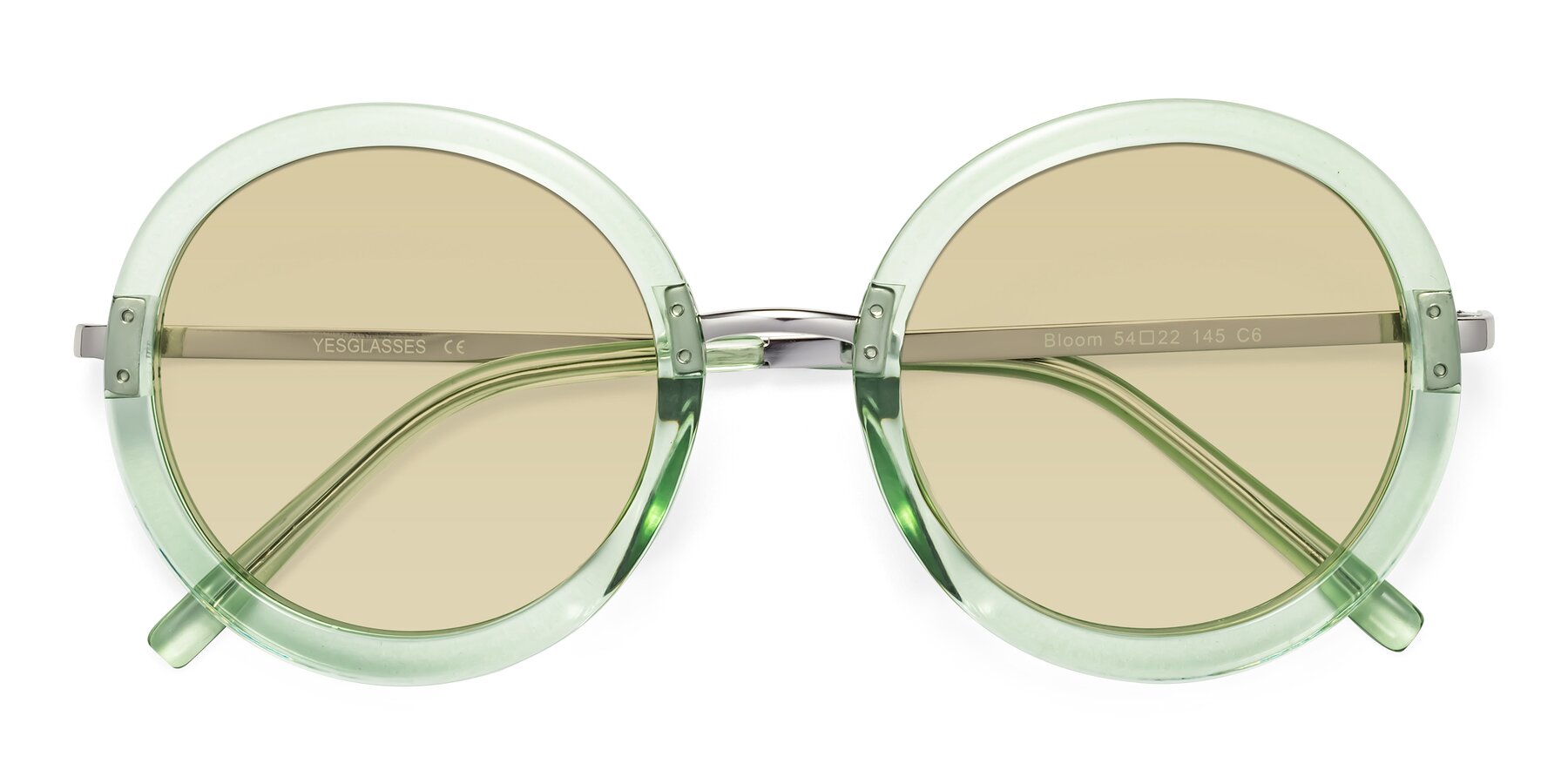 Folded Front of Bloom in Mint Green with Light Champagne Tinted Lenses