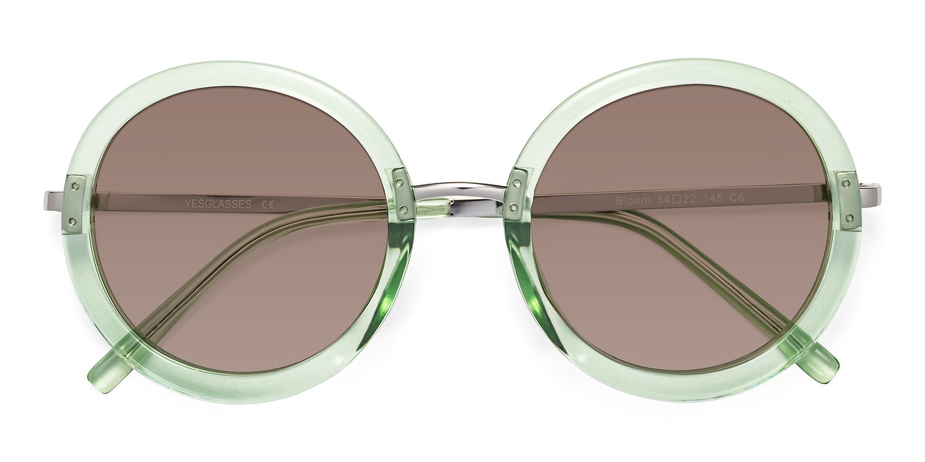 Folded Front of Bloom in Mint Green with Medium Brown Tinted Lenses