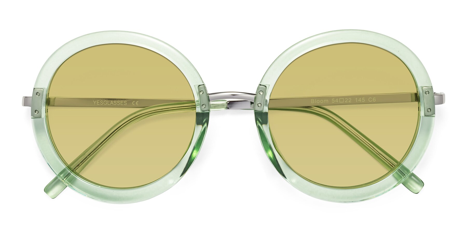 Folded Front of Bloom in Mint Green with Medium Champagne Tinted Lenses