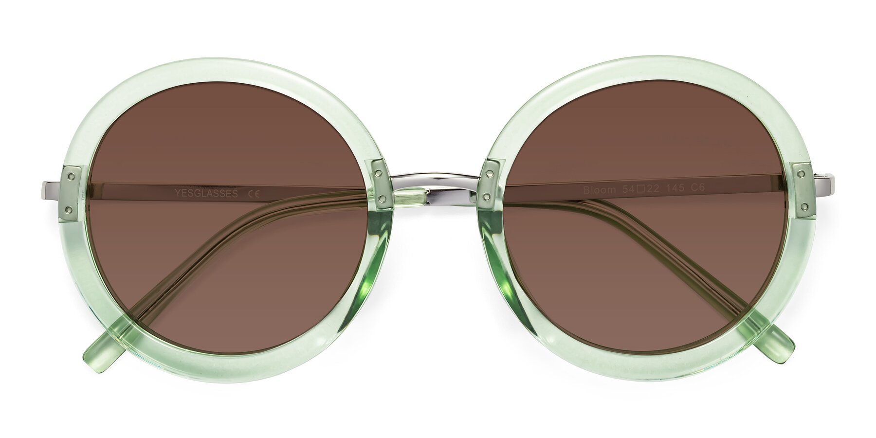 Folded Front of Bloom in Mint Green with Brown Tinted Lenses