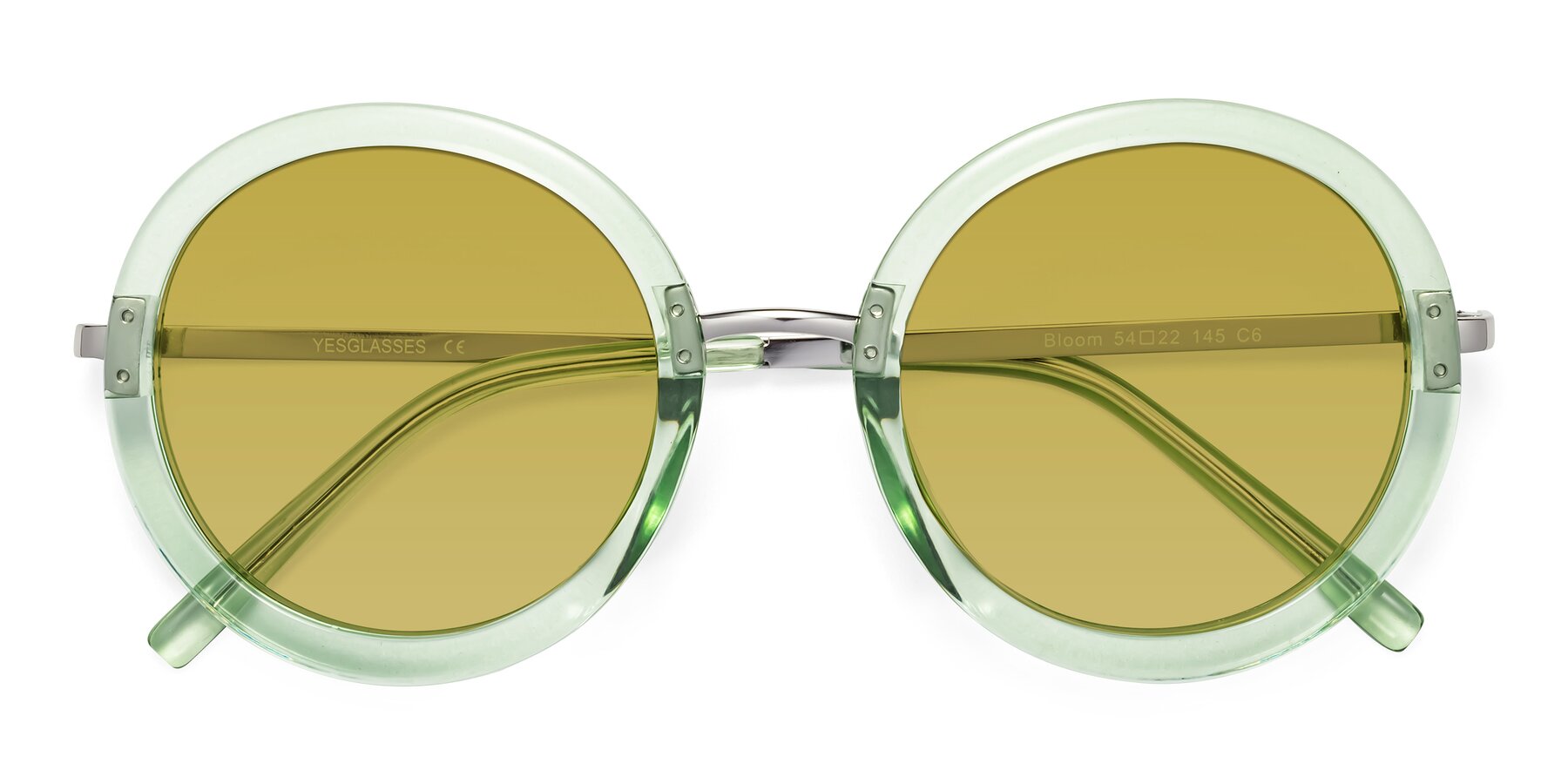 Folded Front of Bloom in Mint Green with Champagne Tinted Lenses