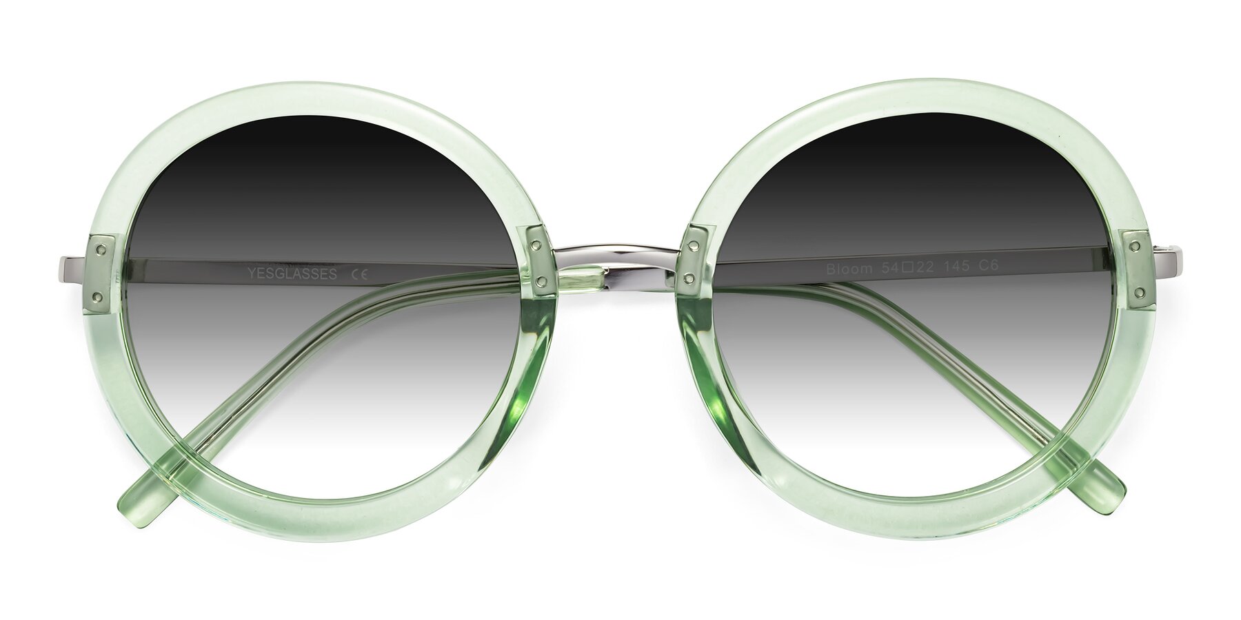 Folded Front of Bloom in Mint Green with Gray Gradient Lenses