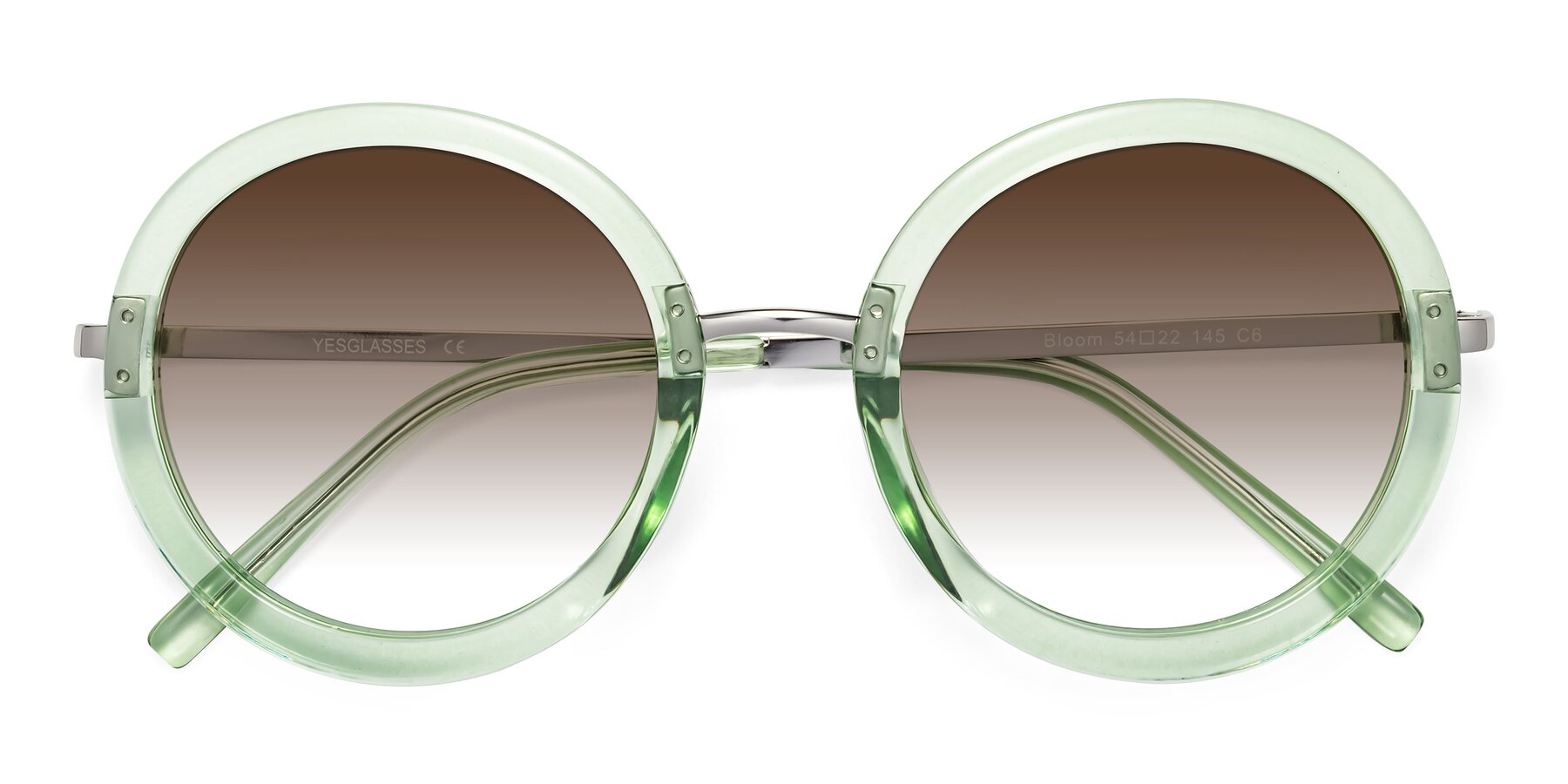 Folded Front of Bloom in Mint Green with Brown Gradient Lenses