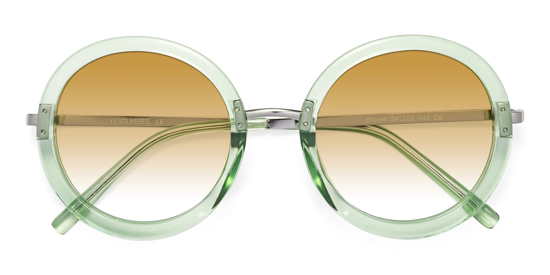 Folded Front of Bloom in Mint Green with Champagne Gradient Lenses