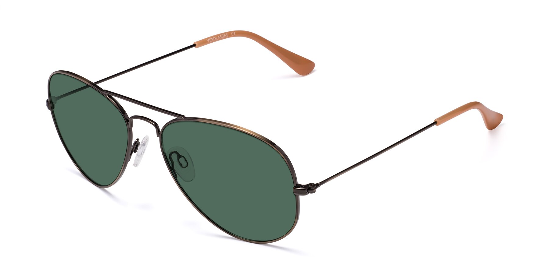Angle of Yesterday in Antique Bronze with Green Polarized Lenses