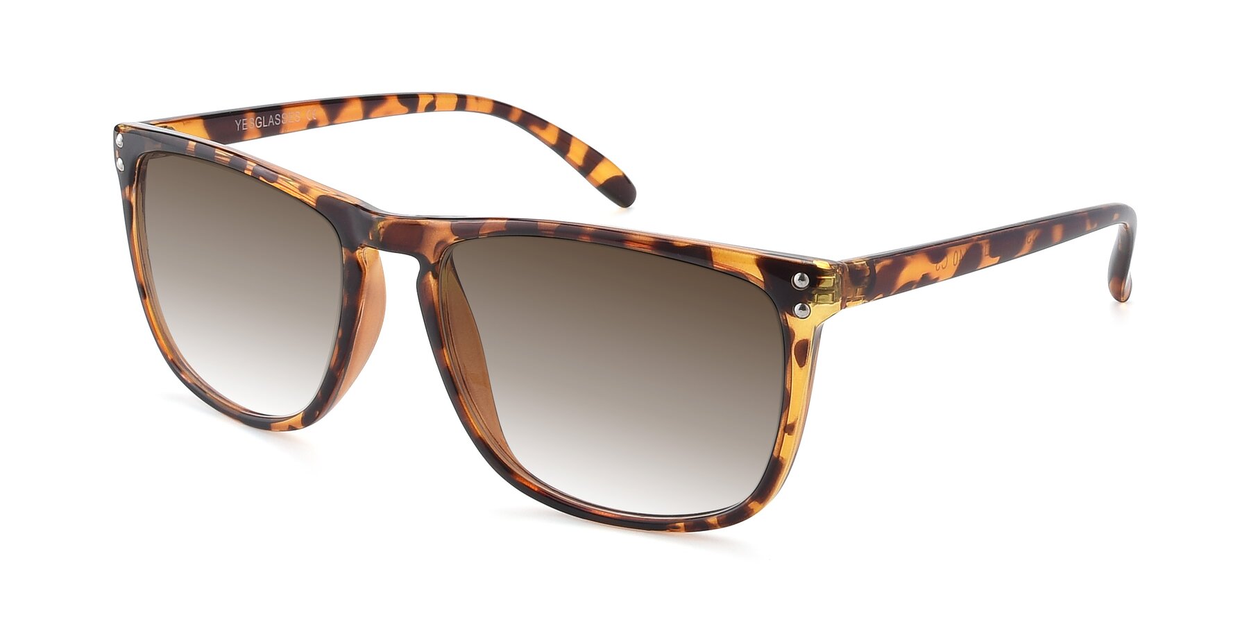 Angle of SSR411 in Translucent Orange Tortoise with Brown Gradient Lenses