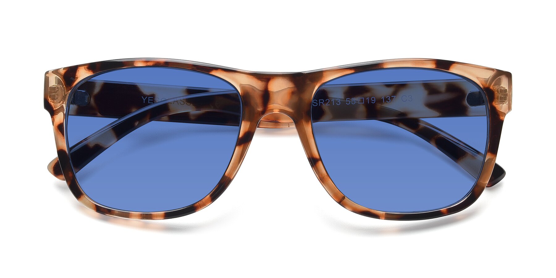 Folded Front of SSR213 in Translucent Tortoise with Blue Tinted Lenses